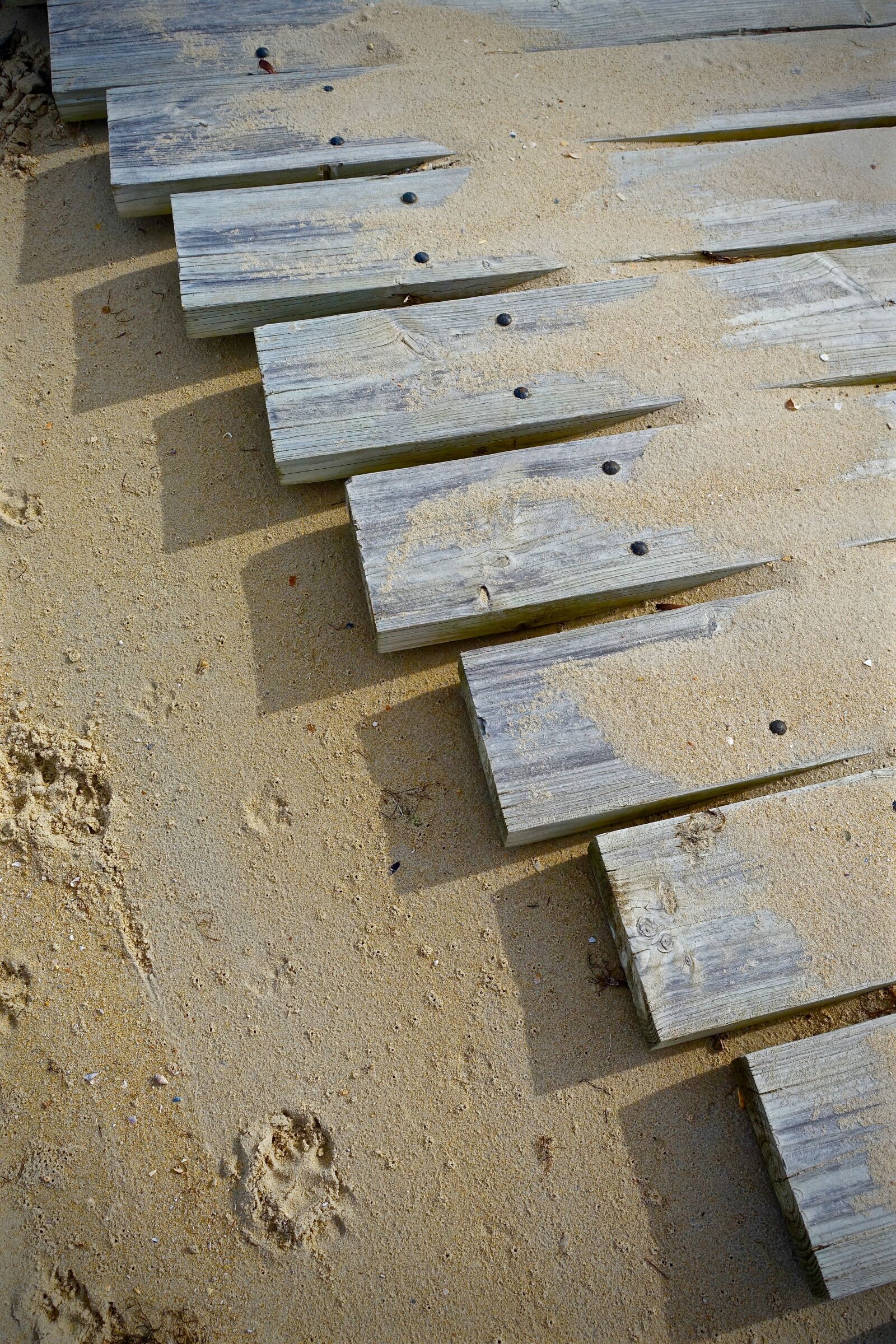 Sony Cyber-shot DSC-RX100 III sample photo. Path, planks, wooden photography