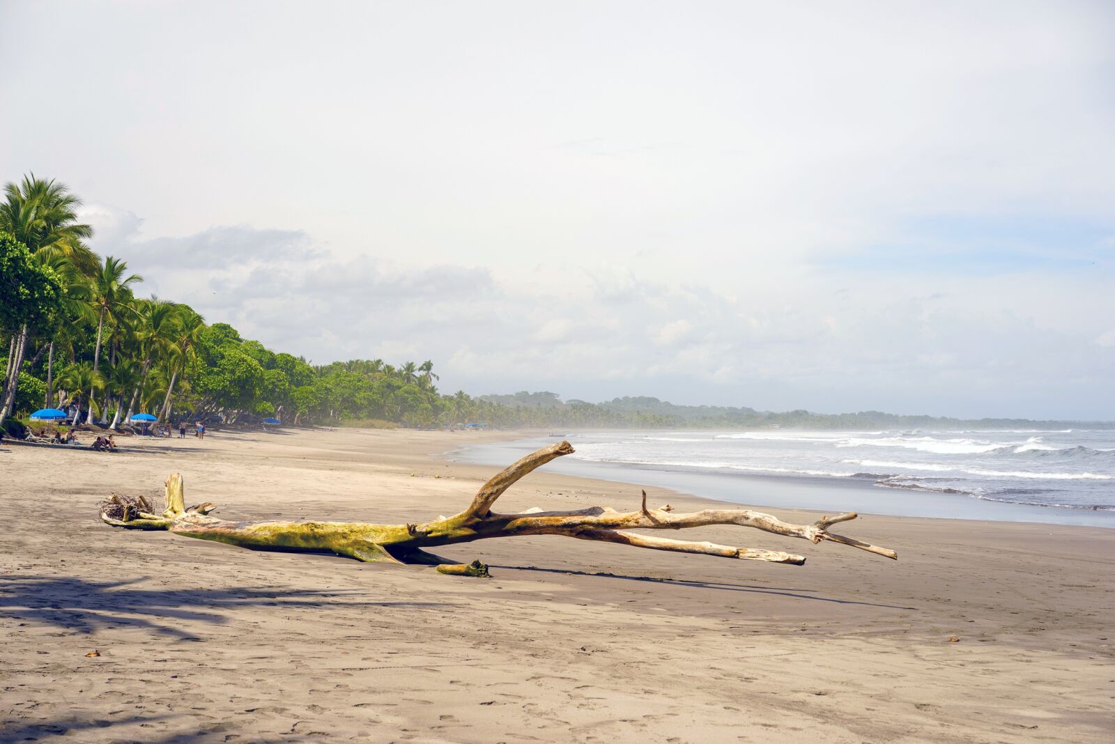 Sony a7R + Sony Sonnar T* FE 55mm F1.8 ZA sample photo. Sea, beach, ocean photography