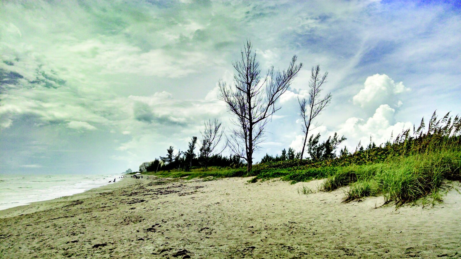 Motorola Droid Mini sample photo. Beach, sand, florida photography
