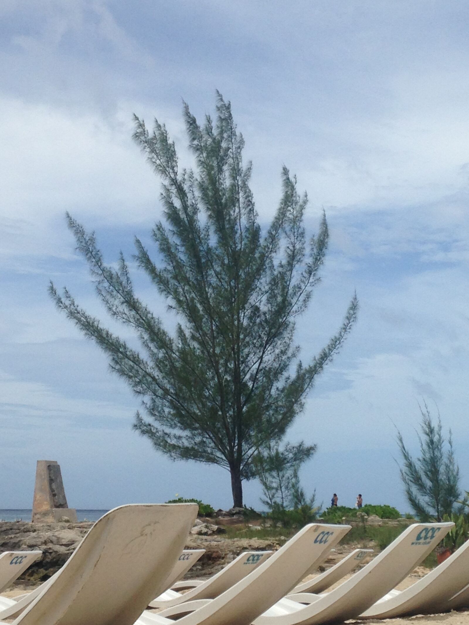 iPhone 5c back camera 4.12mm f/2.4 sample photo. Recuerdos, los, dias photography