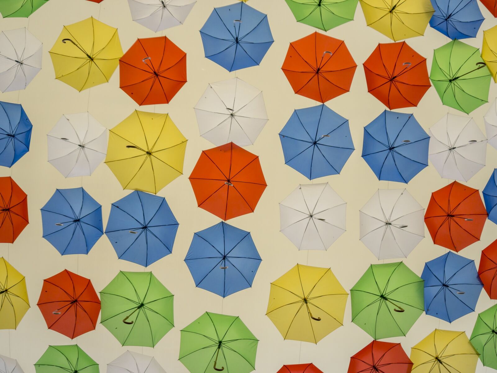 Sony a6000 sample photo. Umbrellas, colors, umbrella photography