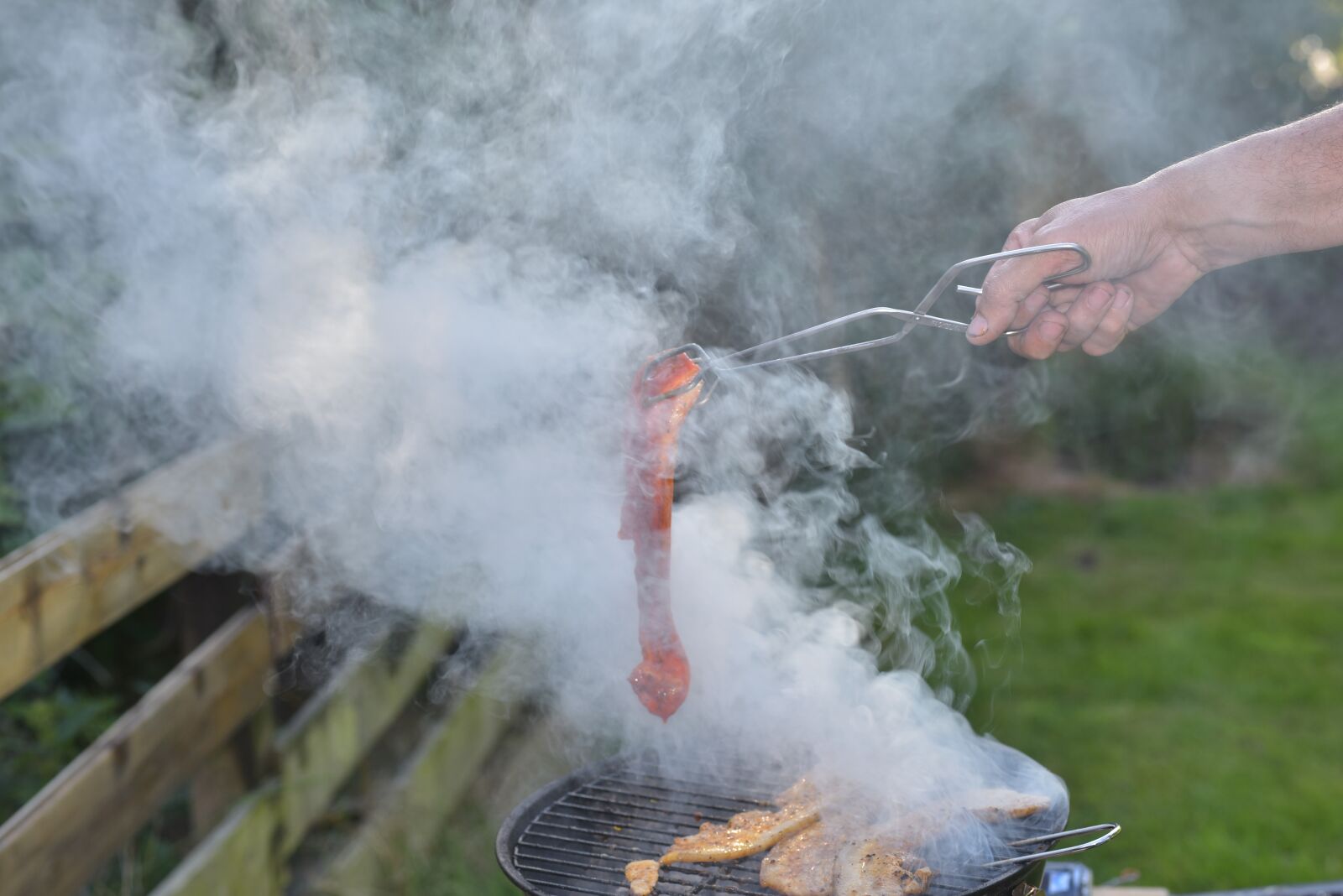 Nikon D750 sample photo. Barbecue, meat, hand photography