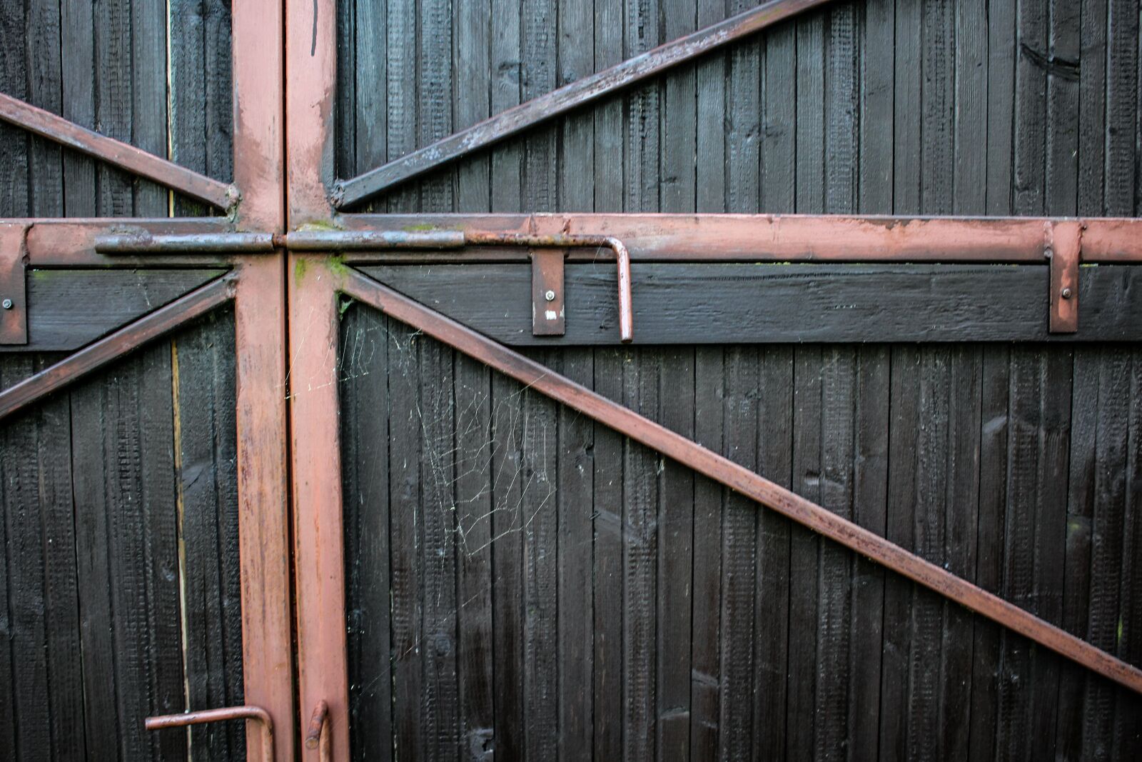 Canon EOS 600D (Rebel EOS T3i / EOS Kiss X5) sample photo. Gate, fence, rust photography