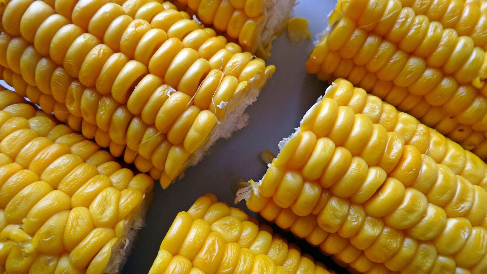 Samsung Galaxy K Zoom sample photo. Corn, food, yellow photography