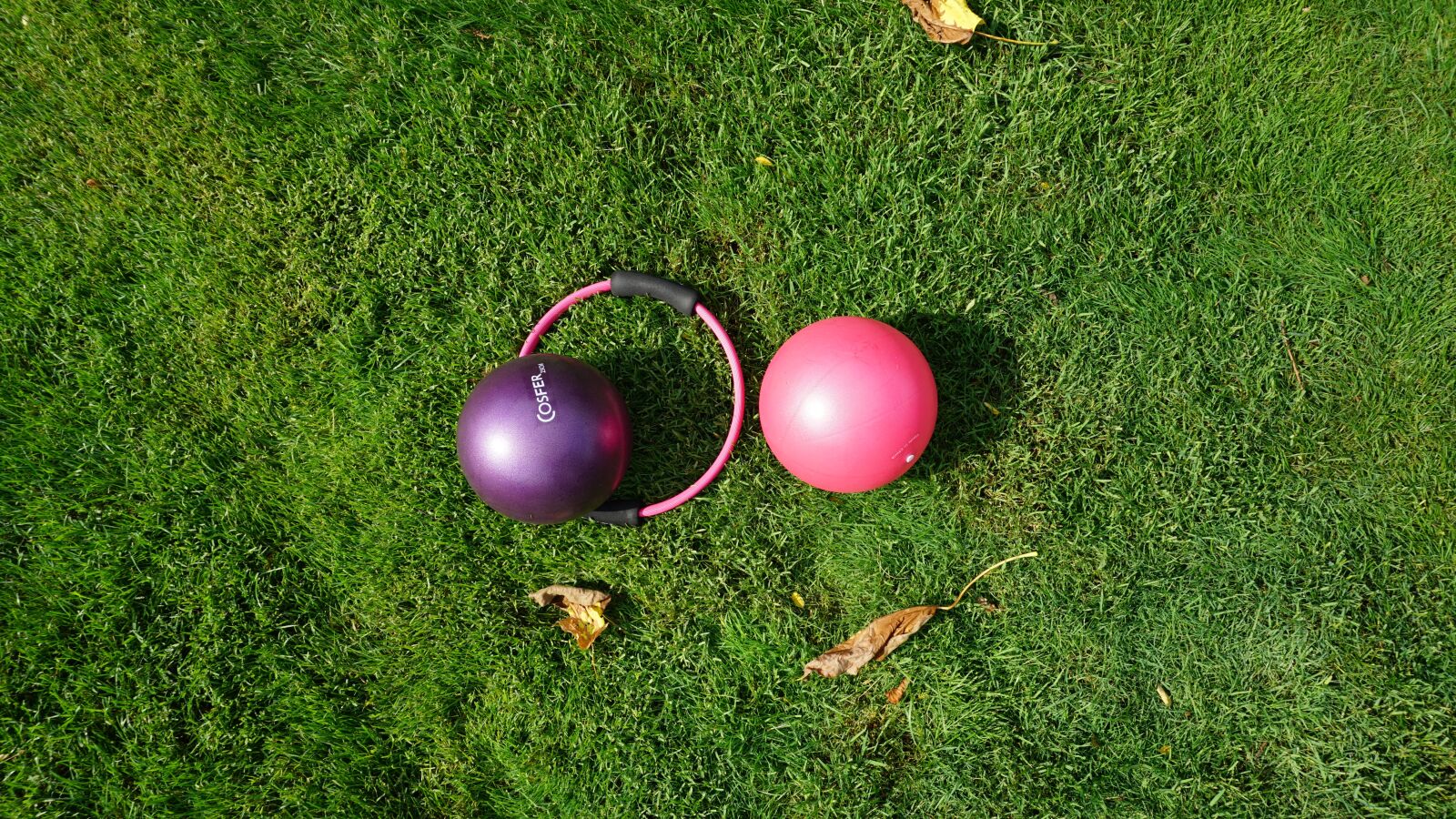 Sony a6000 sample photo. Open space, green, sports photography
