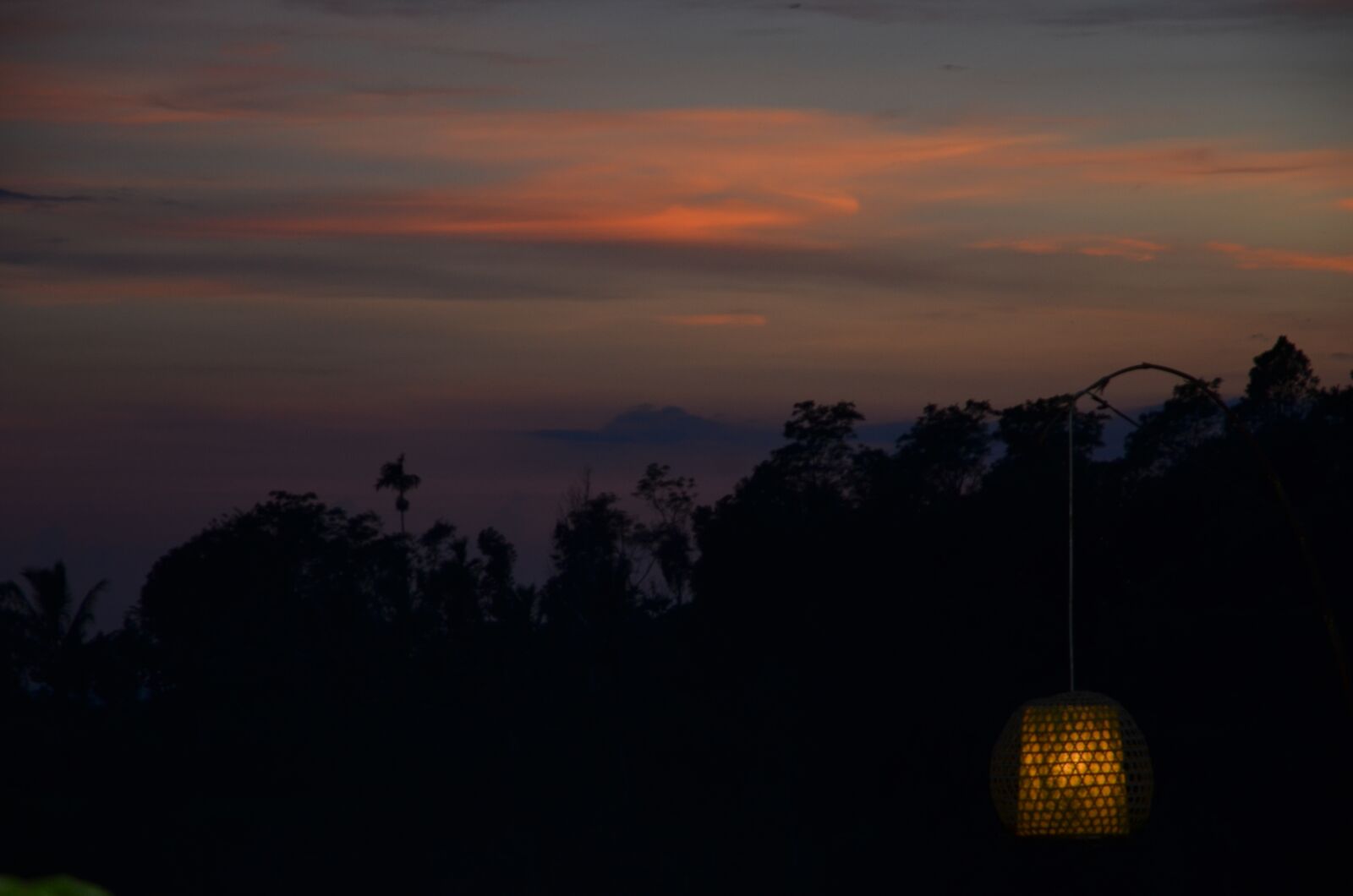 Nikon D7000 sample photo. Sunset, garden, light photography