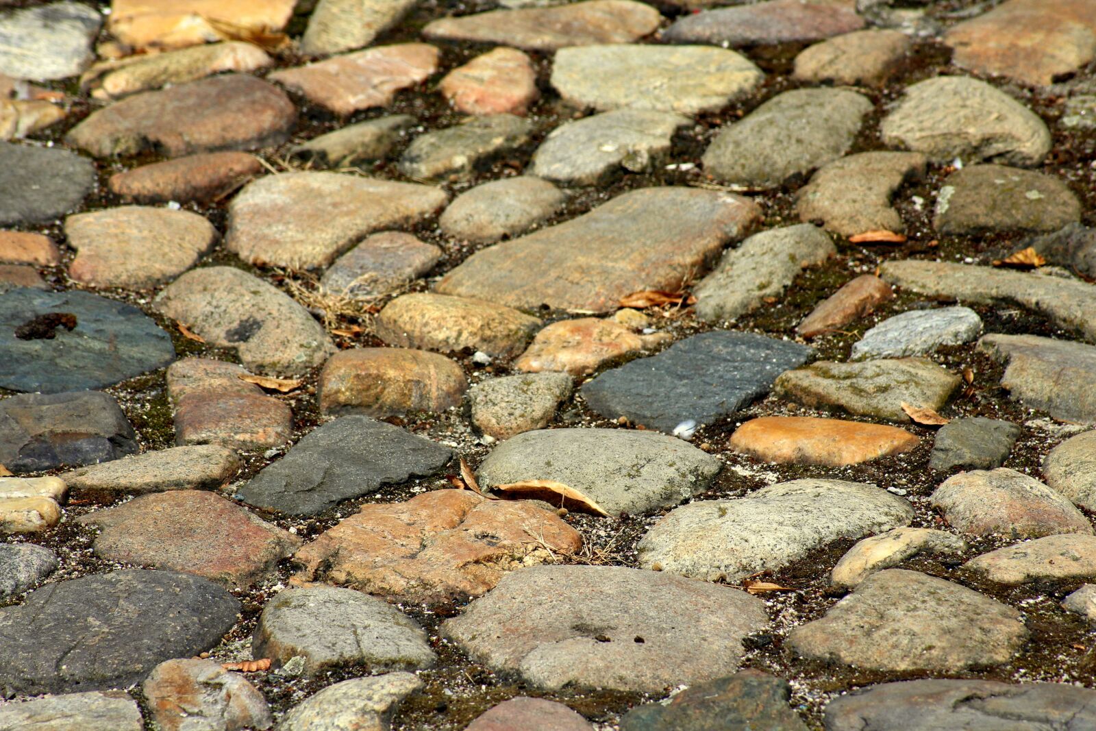 Canon EOS 1200D (EOS Rebel T5 / EOS Kiss X70 / EOS Hi) sample photo. Pavement, the stones, gravel photography