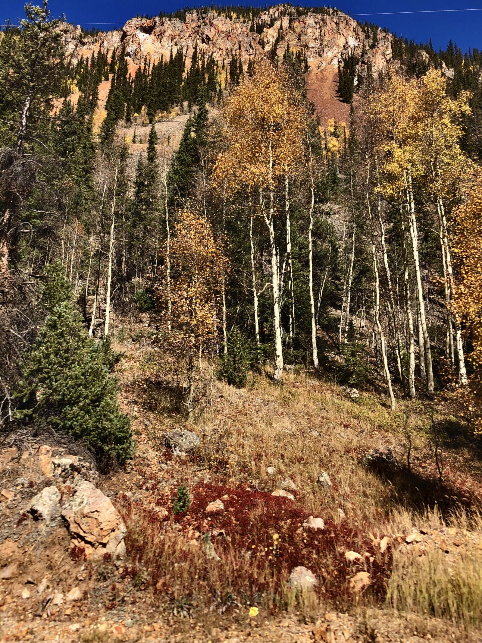 Apple iPhone X sample photo. Mountain, fall, leaves photography