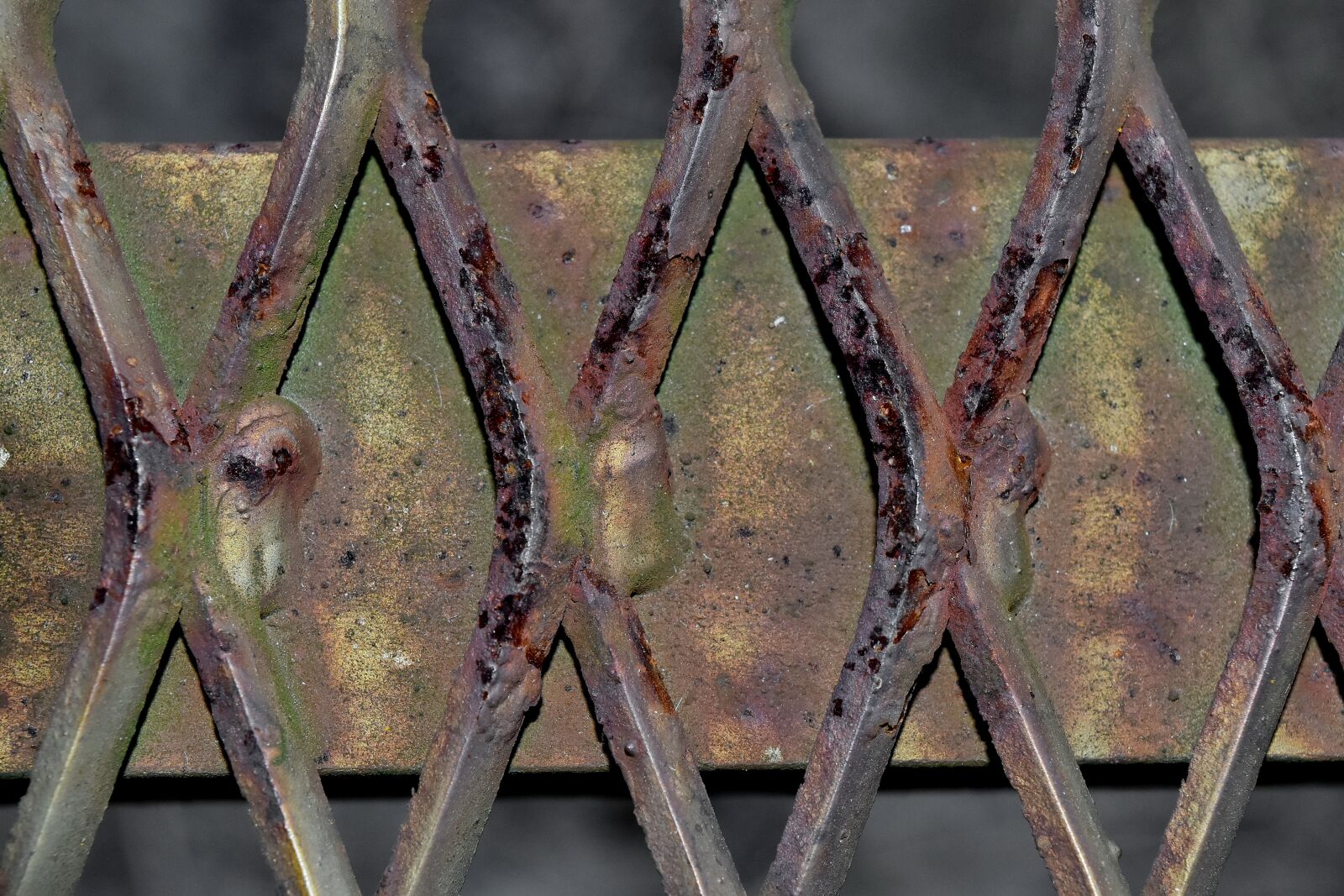 Nikon D5500 sample photo. Cast iron, decay, fence photography