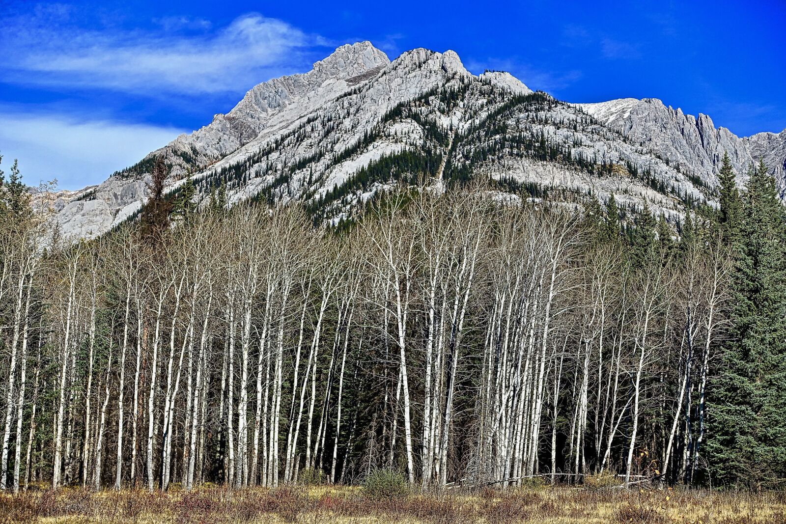 Sony Cyber-shot DSC-RX100 III sample photo. Mountains, rockies, scenic photography