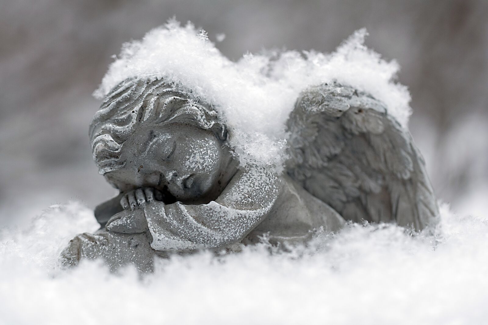 Nikon D3300 sample photo. Snow, winter, frost photography