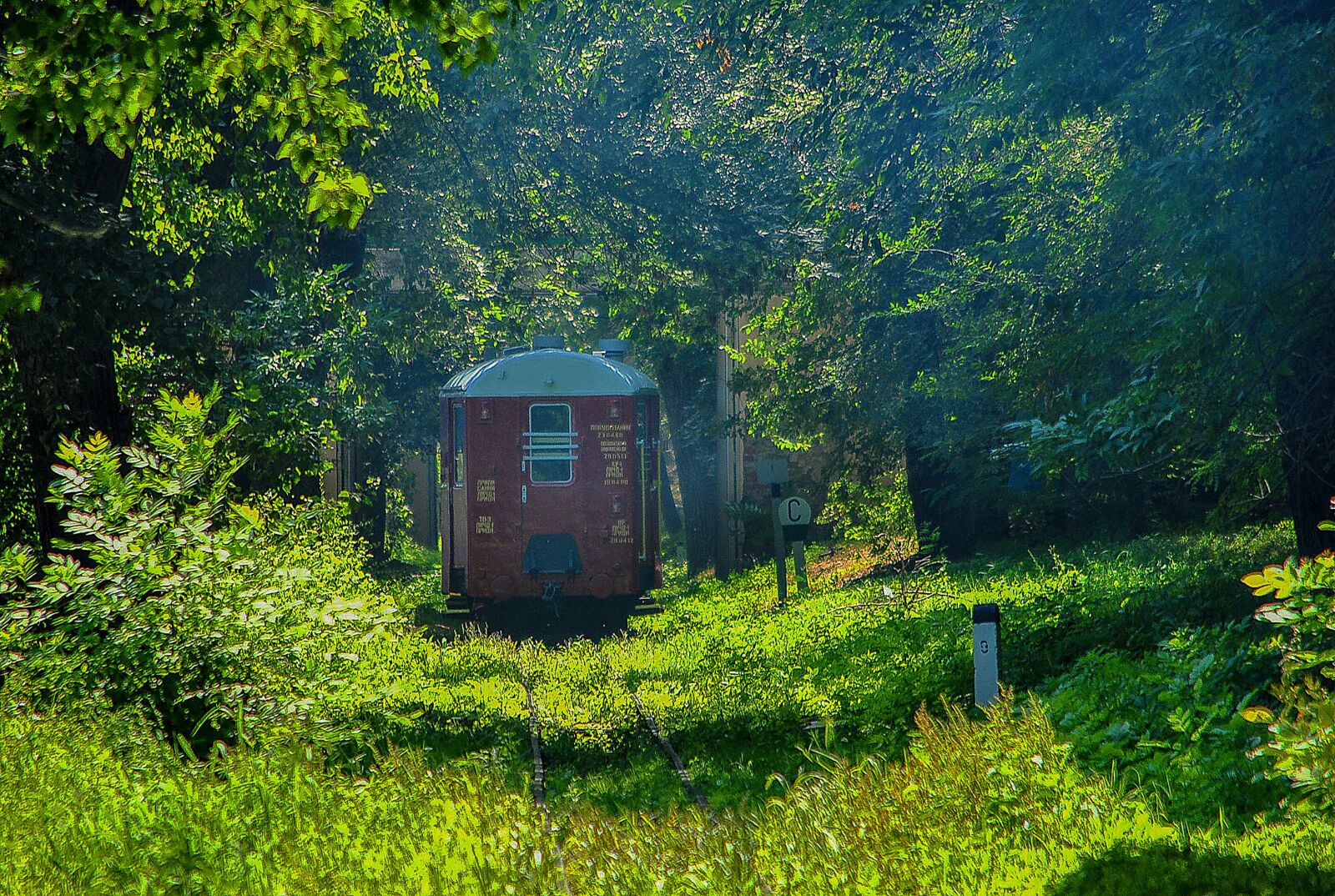 Nikon D3000 sample photo. Park, railway carriage, greens photography