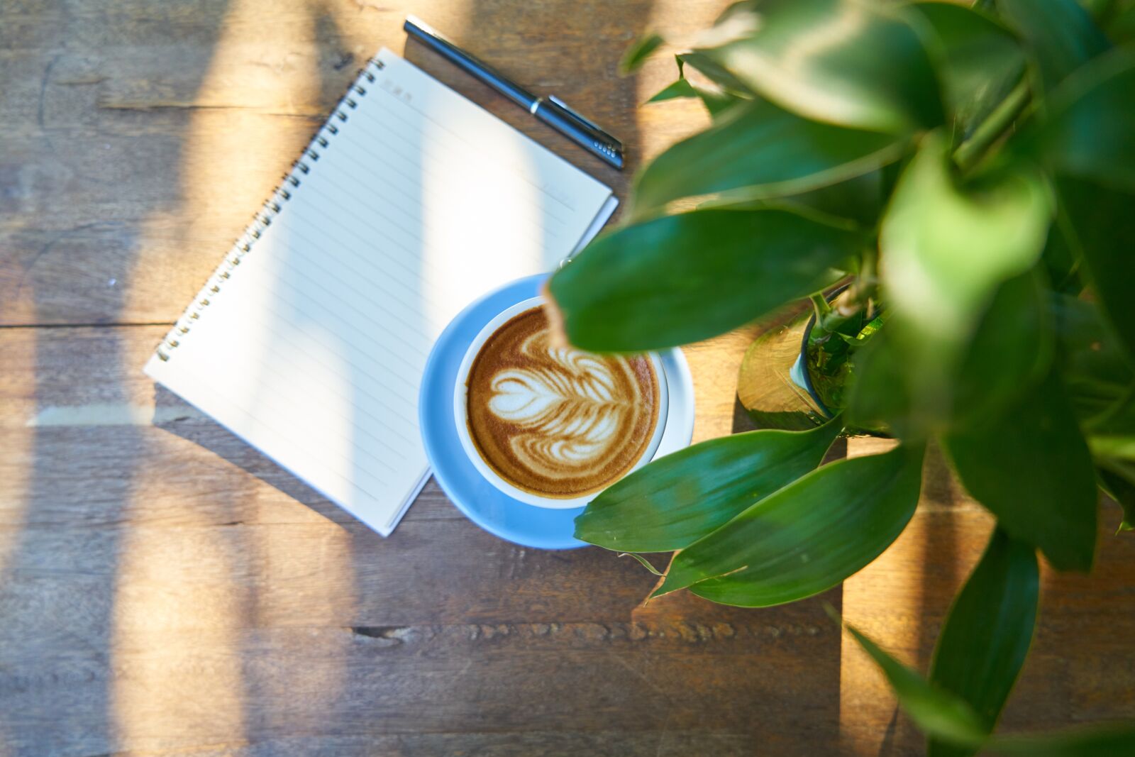 Sony a7R II sample photo. Coffee, caffeine, beverage photography
