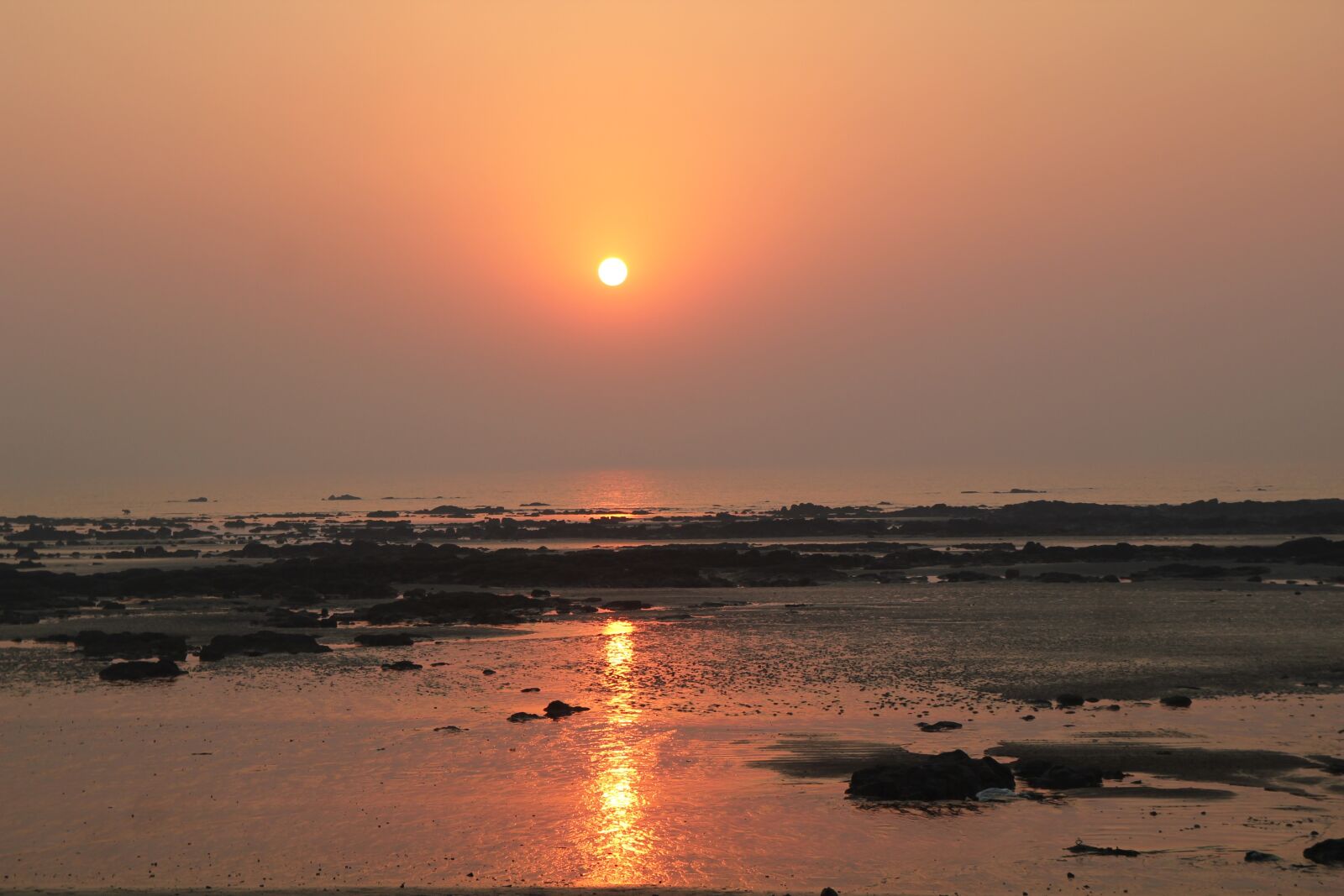 Canon EOS 550D (EOS Rebel T2i / EOS Kiss X4) sample photo. Sunset, orange, beach photography