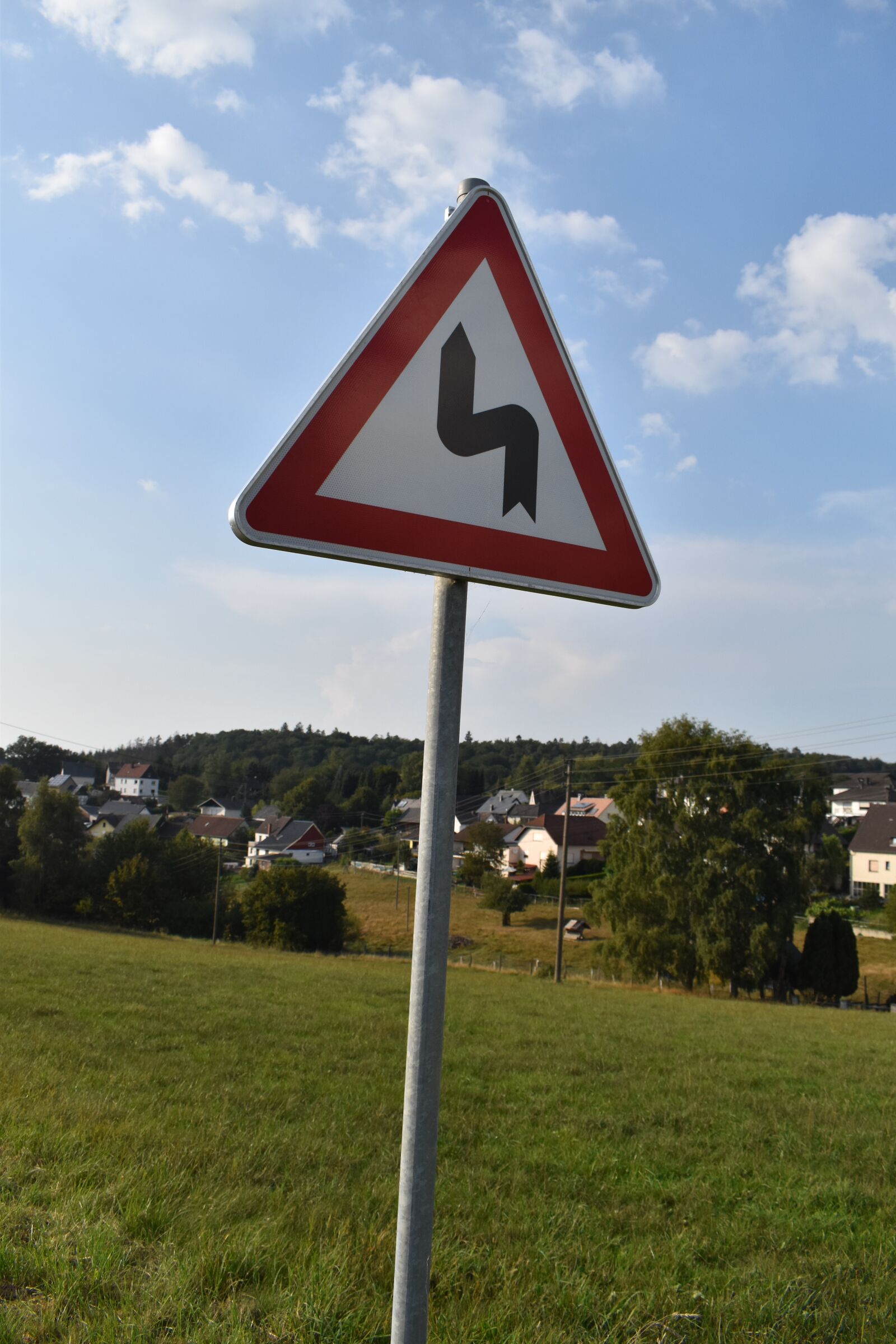 Nikon D3500 sample photo. Shield, attention, double curve photography