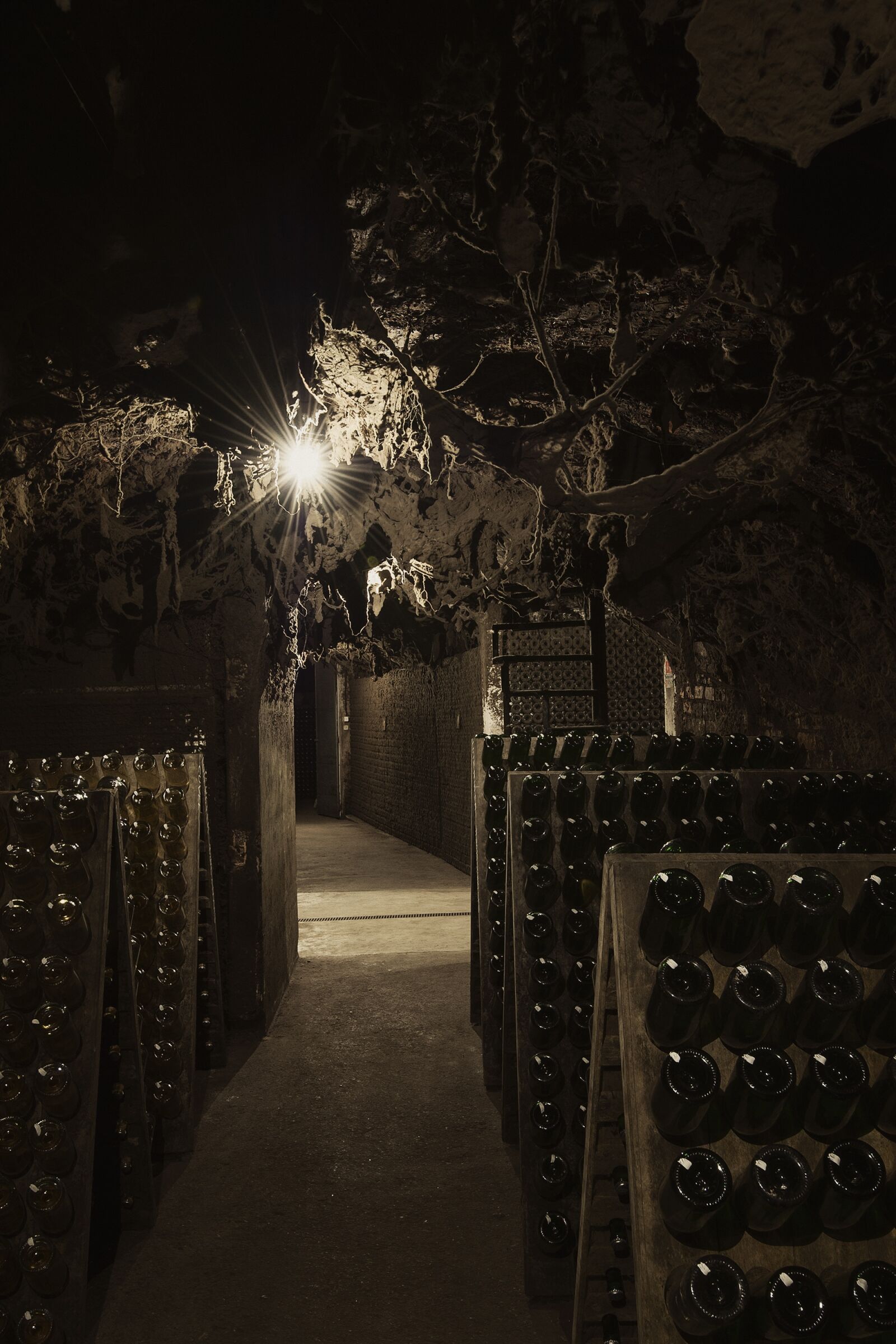 Nikon D3S sample photo. S, sundays, caves photography