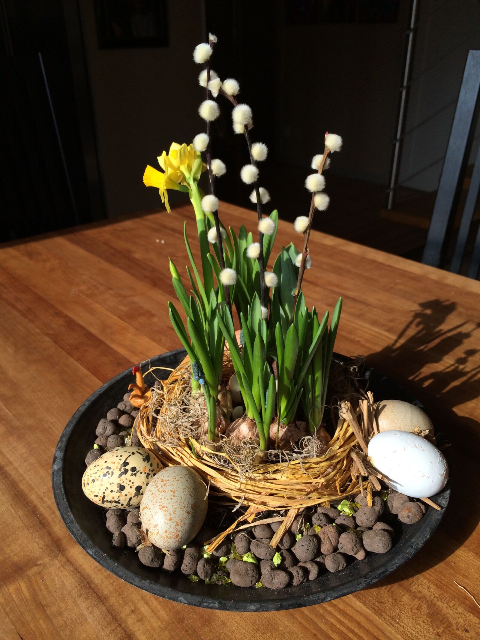 iPhone 5s back camera 4.12mm f/2.2 sample photo. Easter, flower, easter lilies photography