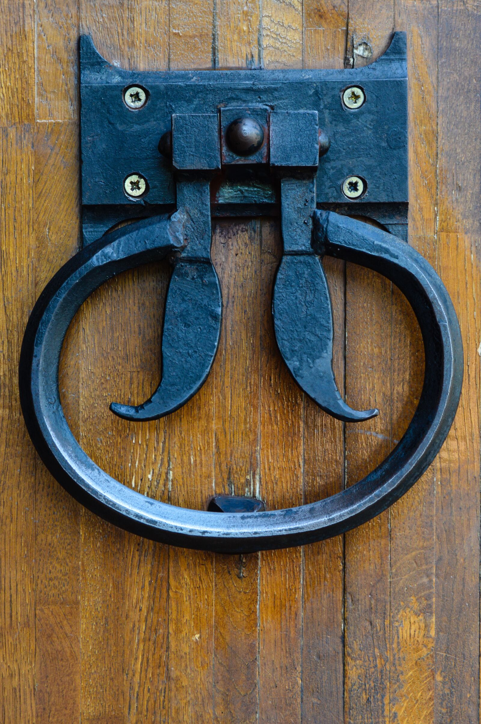 Nikon D3200 sample photo. The middle ages, door photography