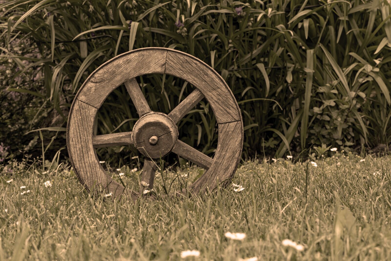 Nikon D750 sample photo. Old wheel, wheel, cart photography