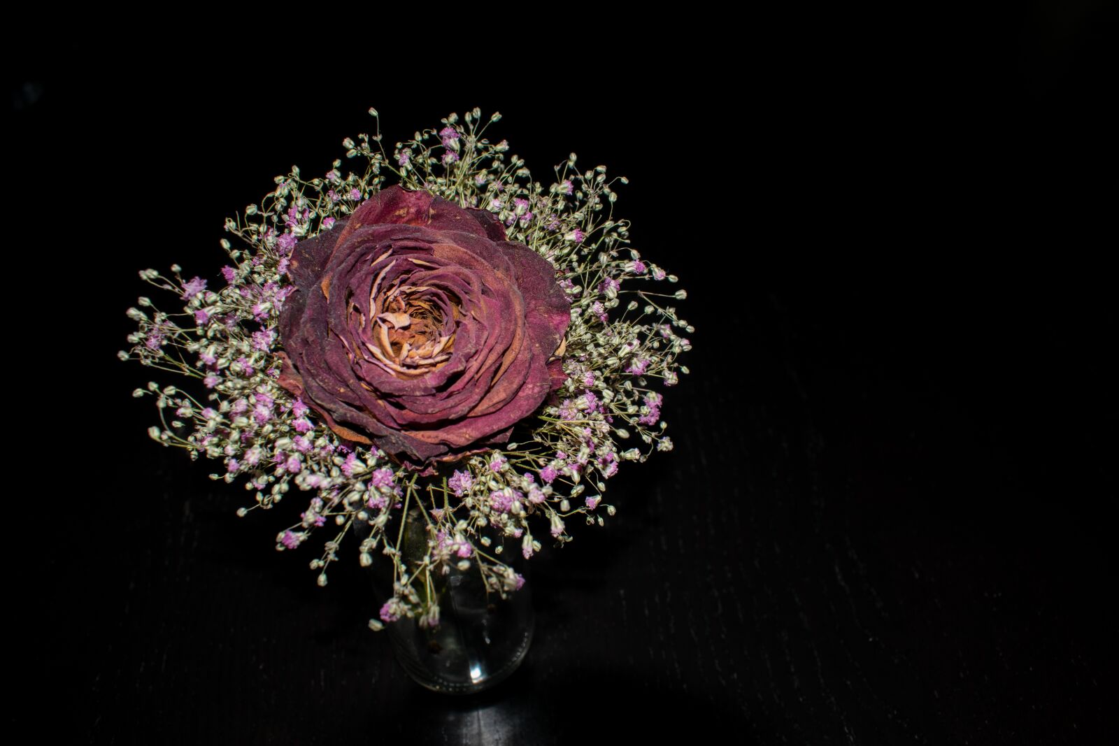Nikon D5300 sample photo. Rose, dry, trockenblume photography