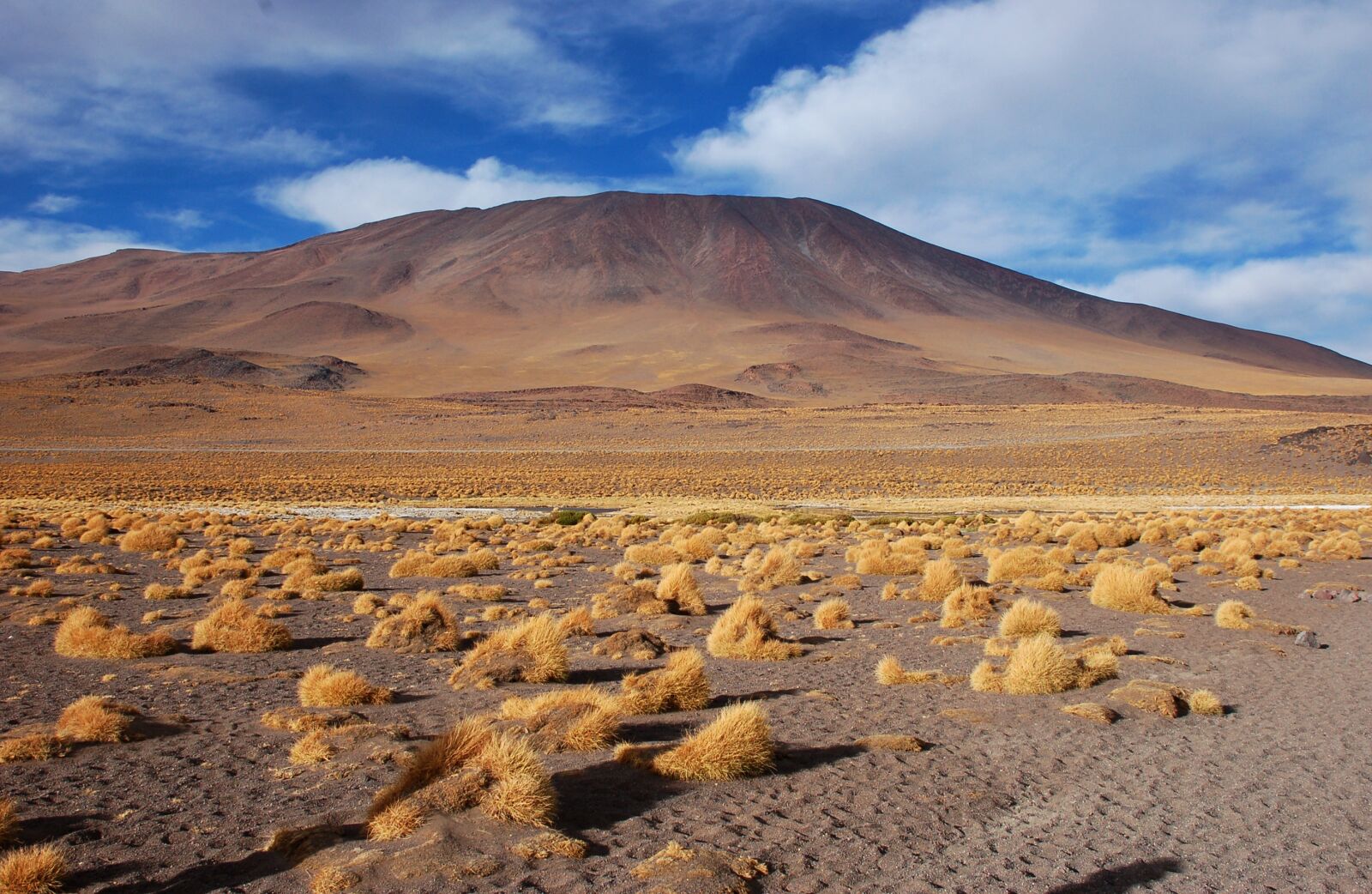 Nikon D50 sample photo. Bolivia, laguna, desert photography