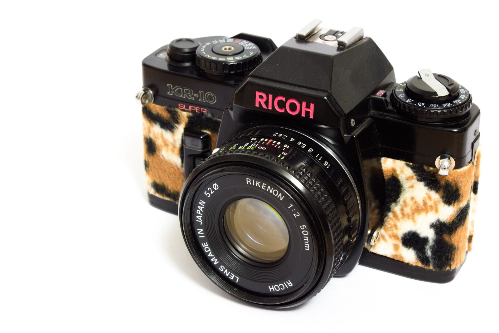 Canon EOS 600D (Rebel EOS T3i / EOS Kiss X5) sample photo. Analog, camera, leopard photography