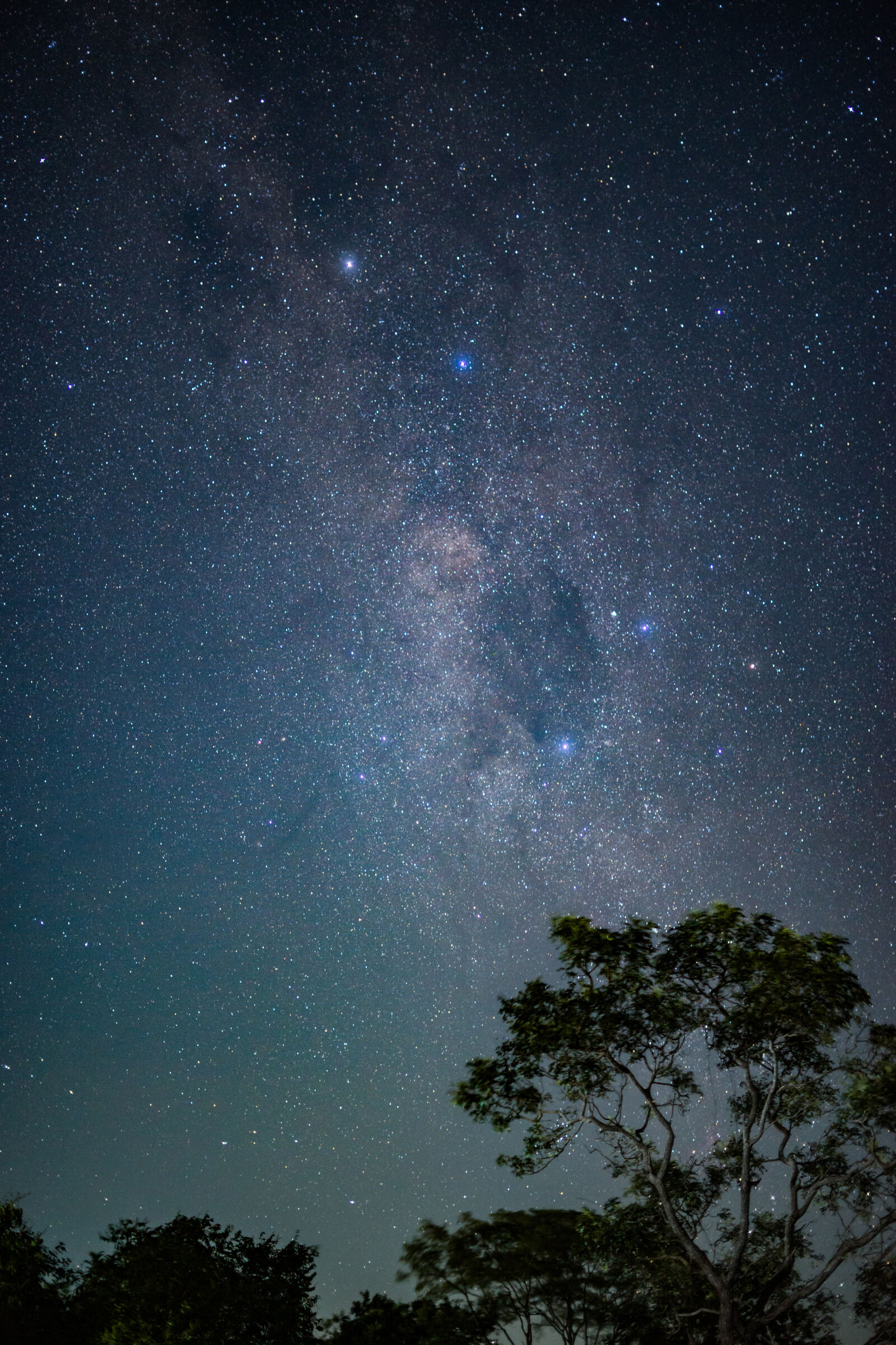 Sony a7 sample photo
