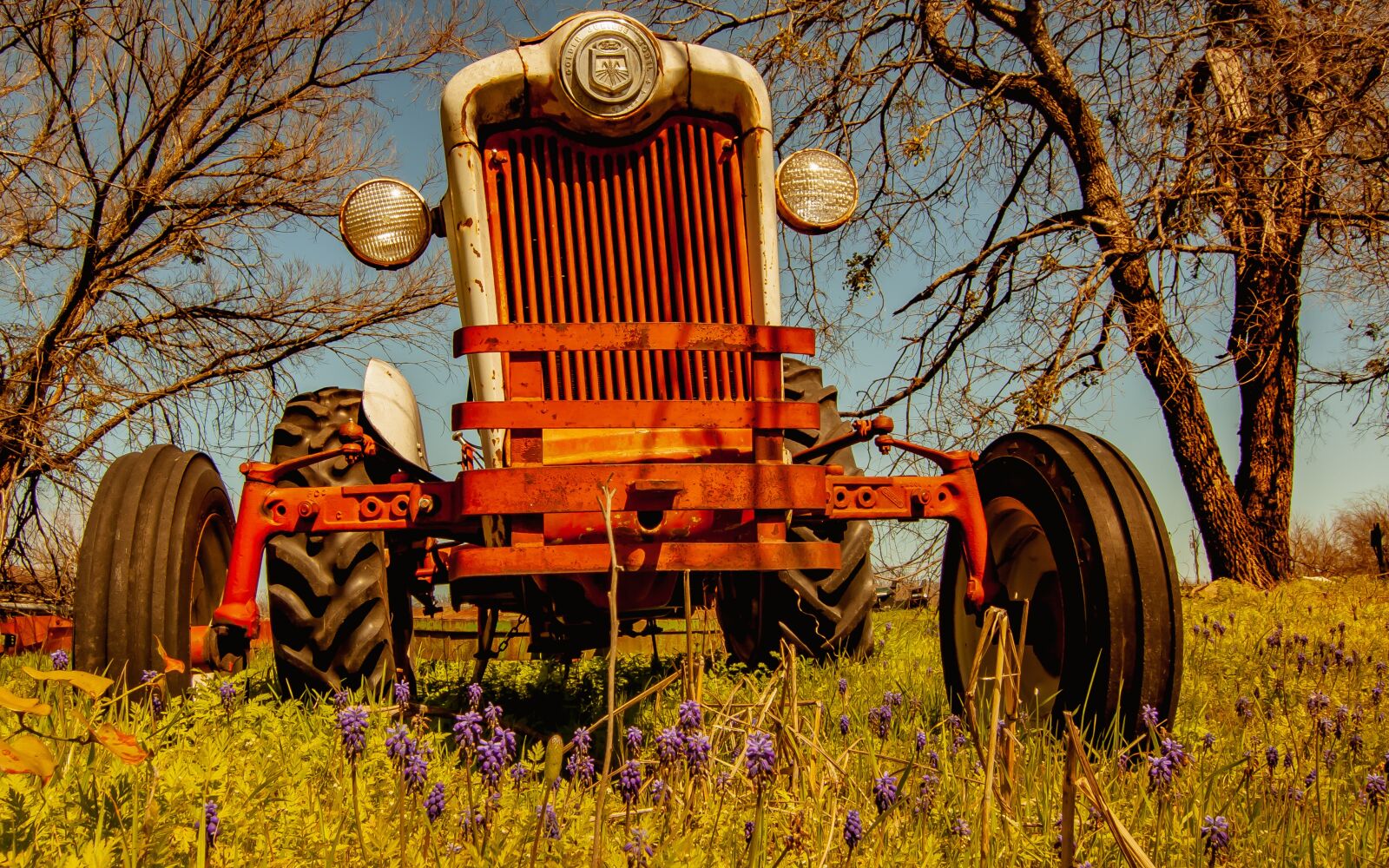 Canon EOS 50D sample photo. Tractor, antique, agriculture photography