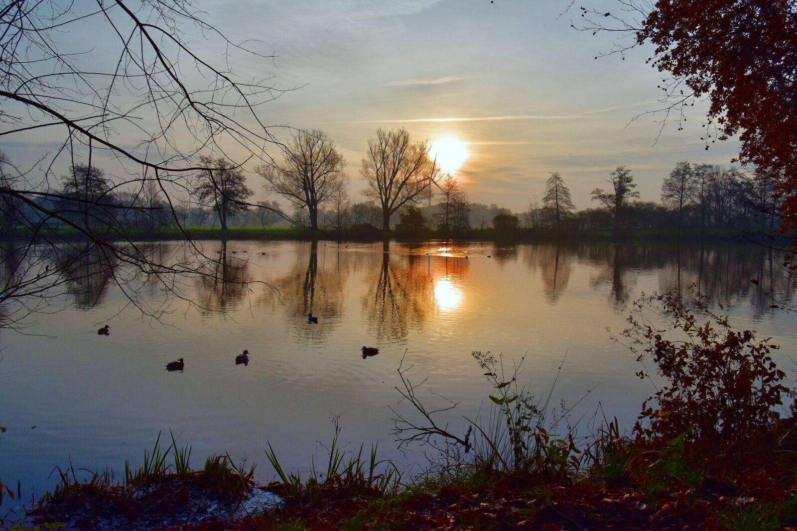 Nikon D5600 sample photo. Morning sun, lake, sunrise photography