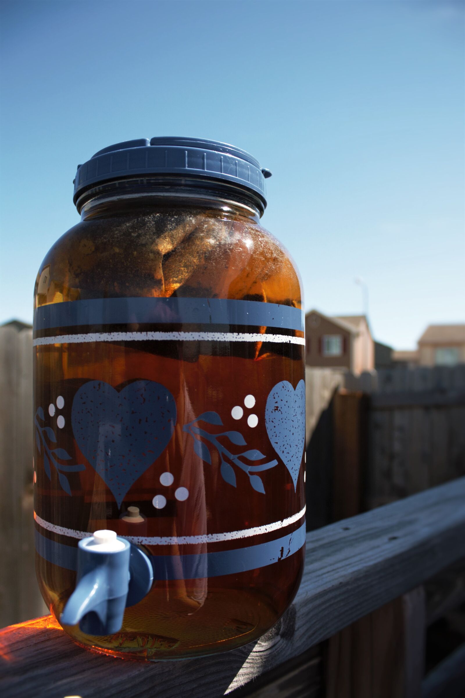 Canon EOS 1000D (EOS Digital Rebel XS / EOS Kiss F) sample photo. Day, deck, homemade, jar photography