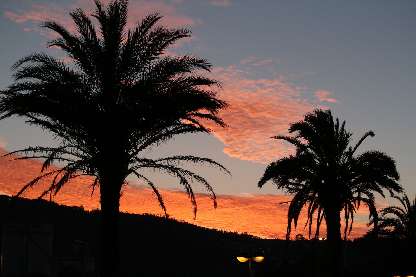 Canon EF-S 55-250mm F4-5.6 IS STM sample photo. Sunset, dusk, palms photography