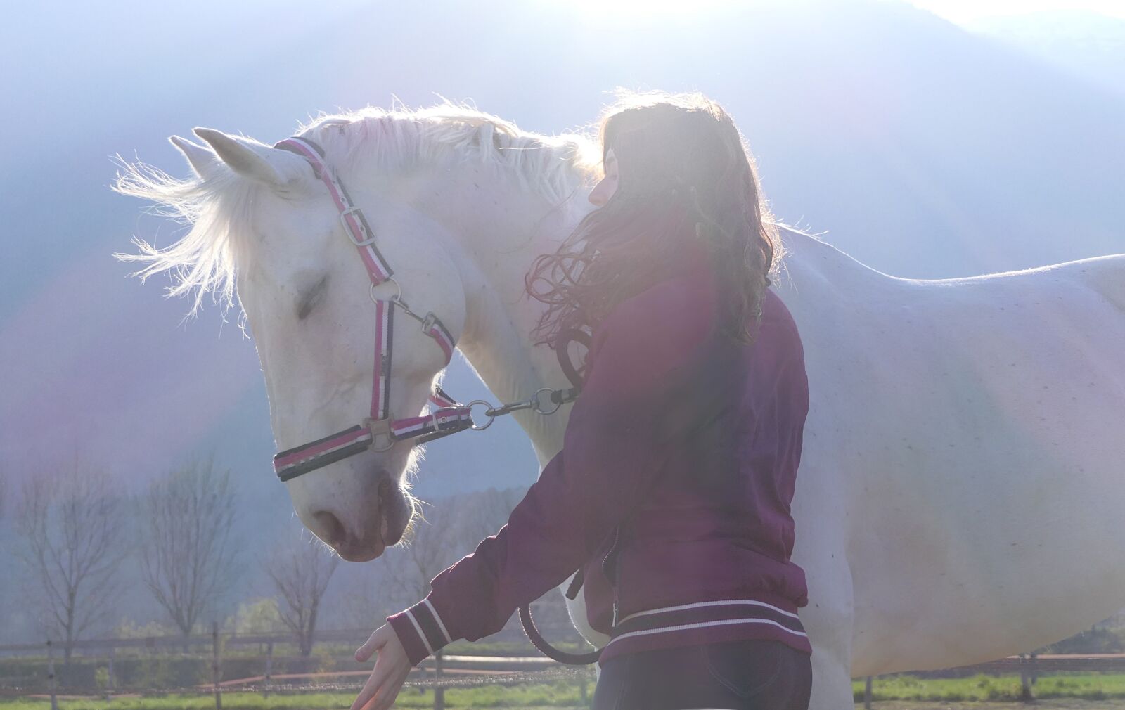 Panasonic Lumix DMC-FZ2500 (Lumix DMC-FZ2000) sample photo. Horse, white, girl photography