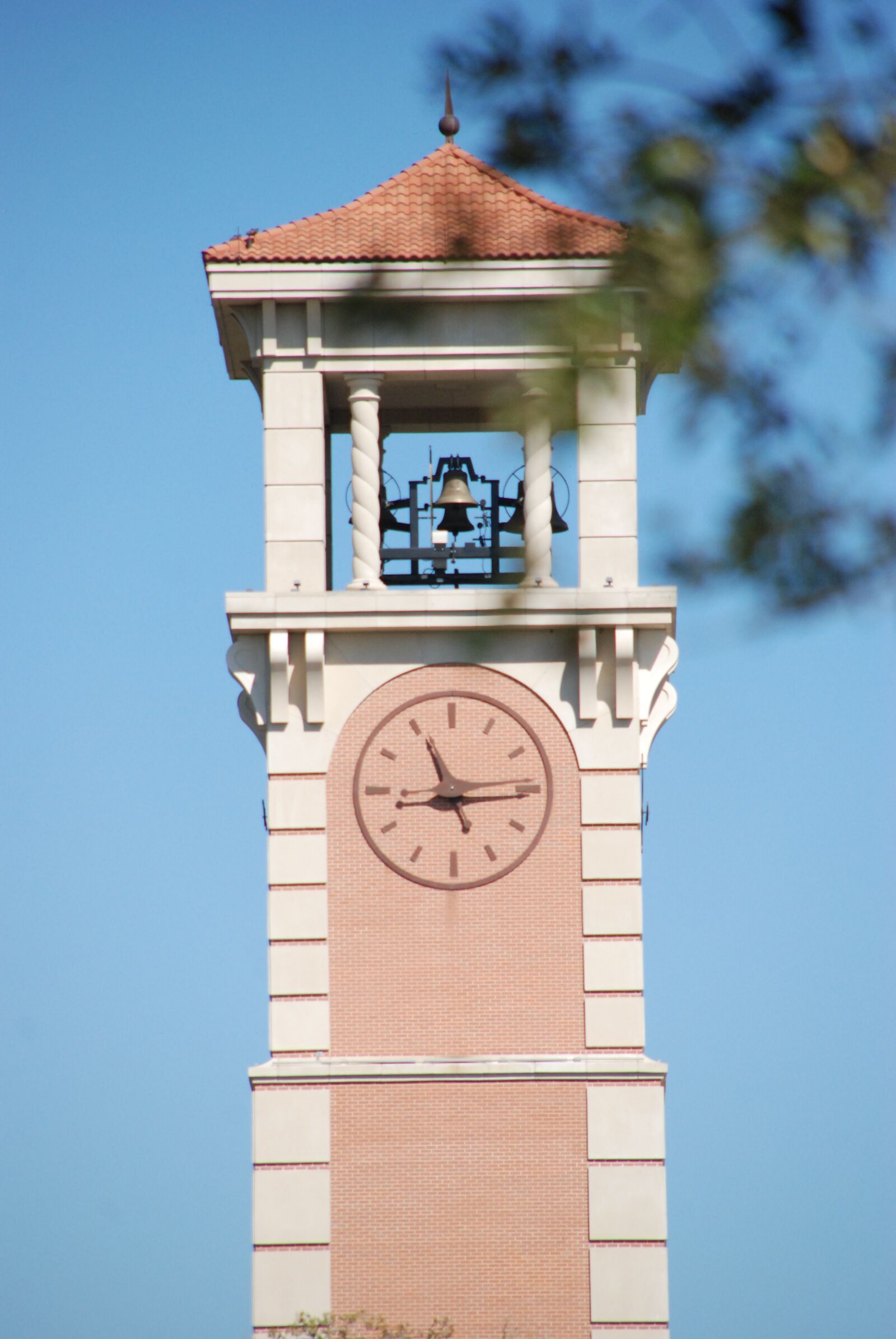 Nikon D80 sample photo. University, university of south photography