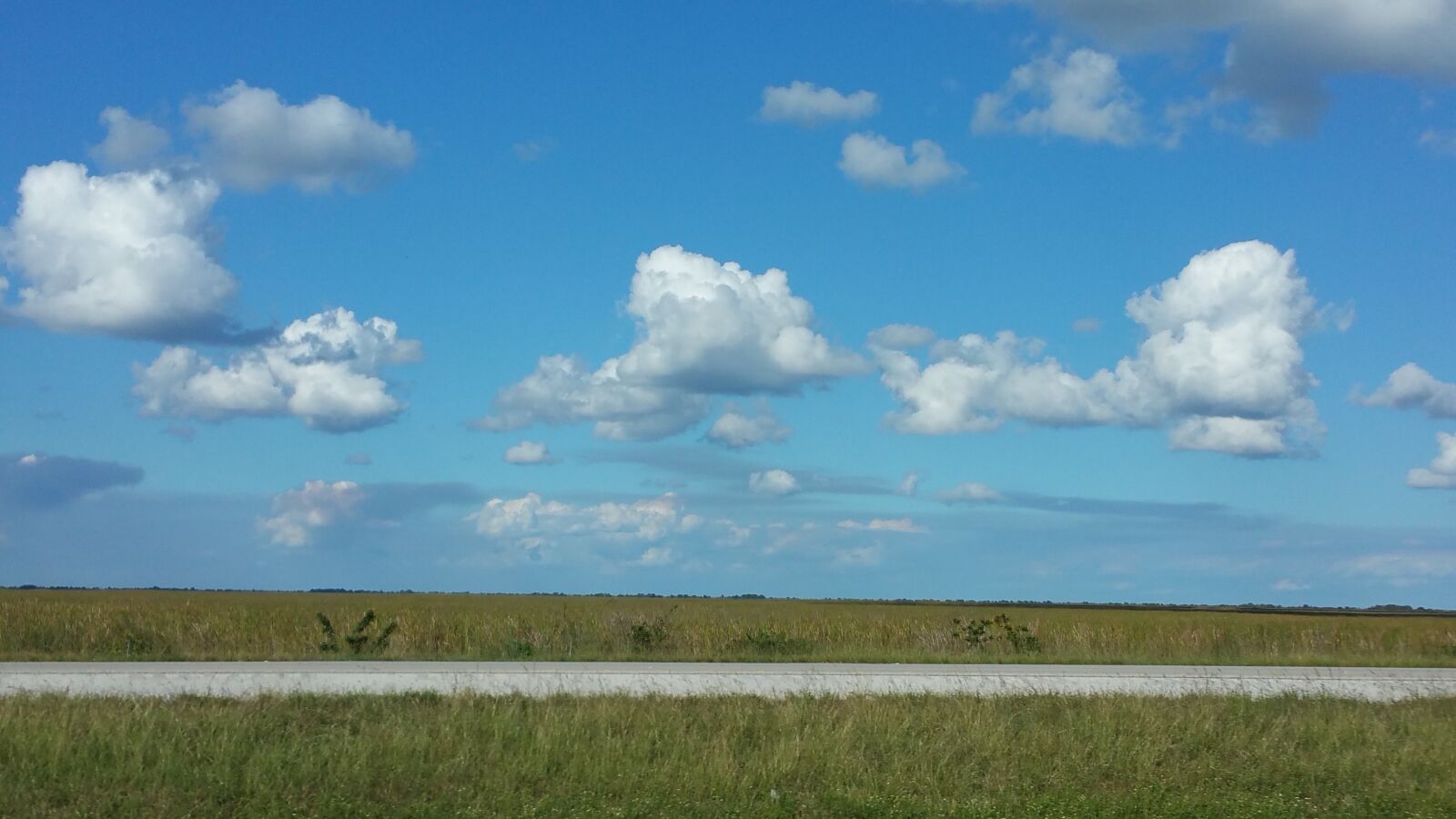 Samsung Galaxy Note4 sample photo. Everglades photography