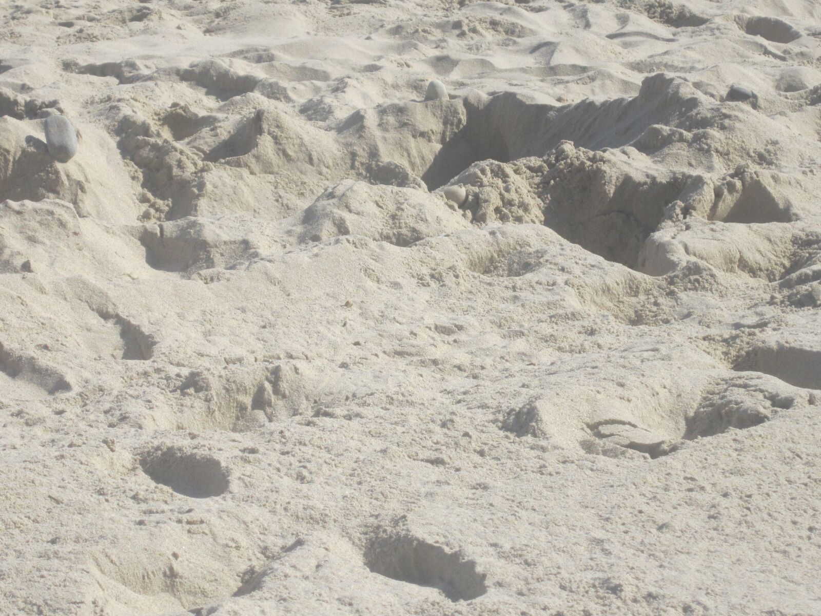 Canon PowerShot A2200 sample photo. Sand, footprints, beach photography