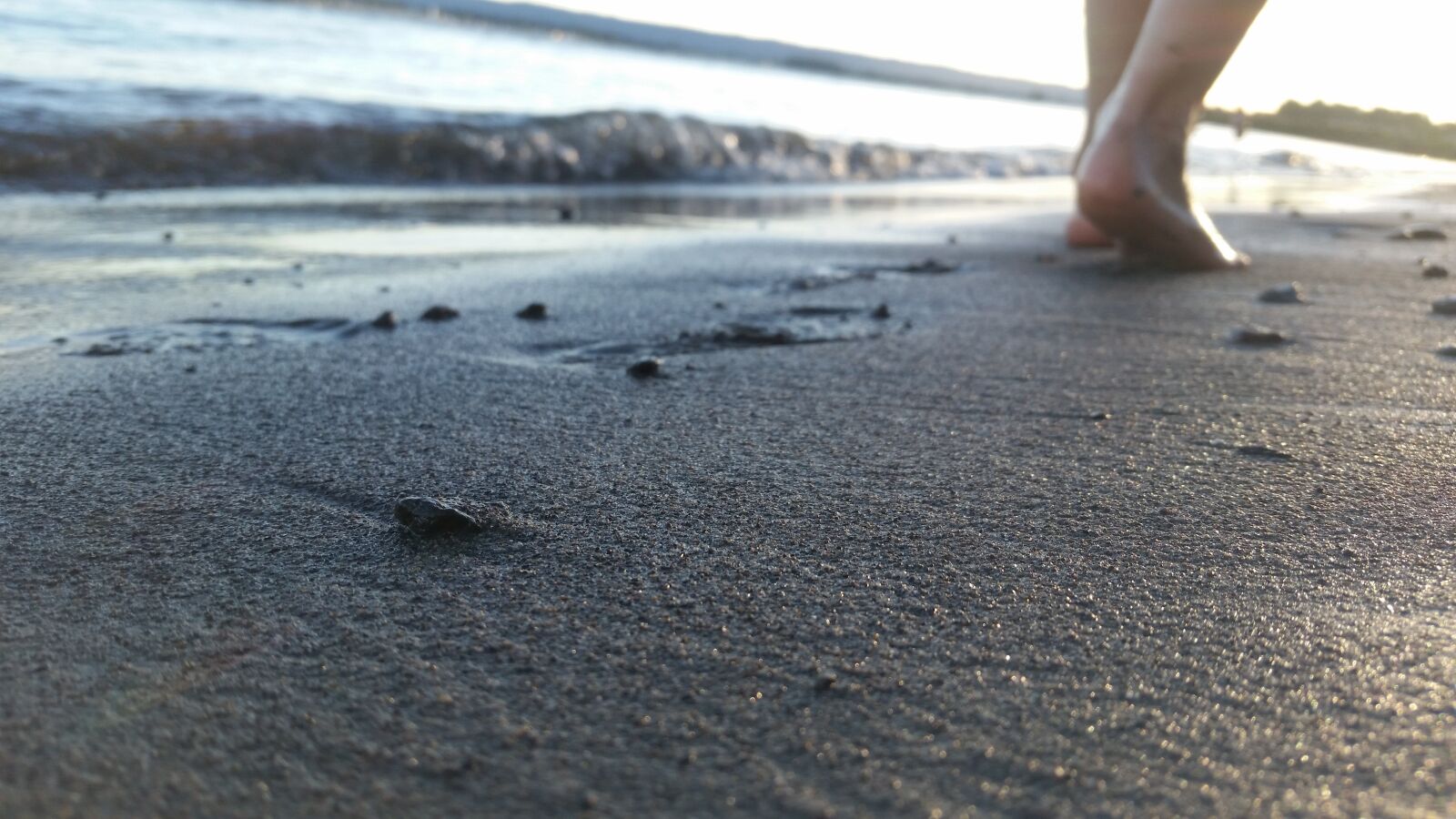 Samsung Galaxy S5 sample photo. Feet, walking, sand photography
