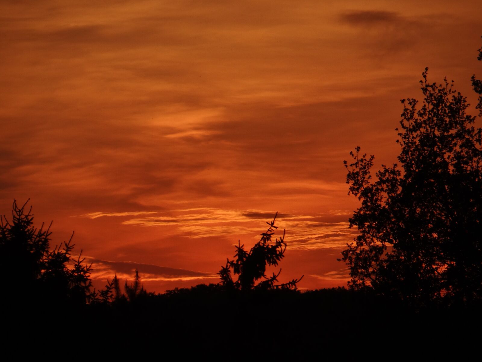 Sony DSC-HX200V sample photo. Sunset, summer, sky photography