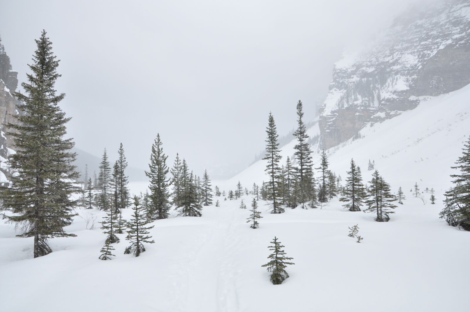 Nikon D90 sample photo. Winter, snow, cold photography