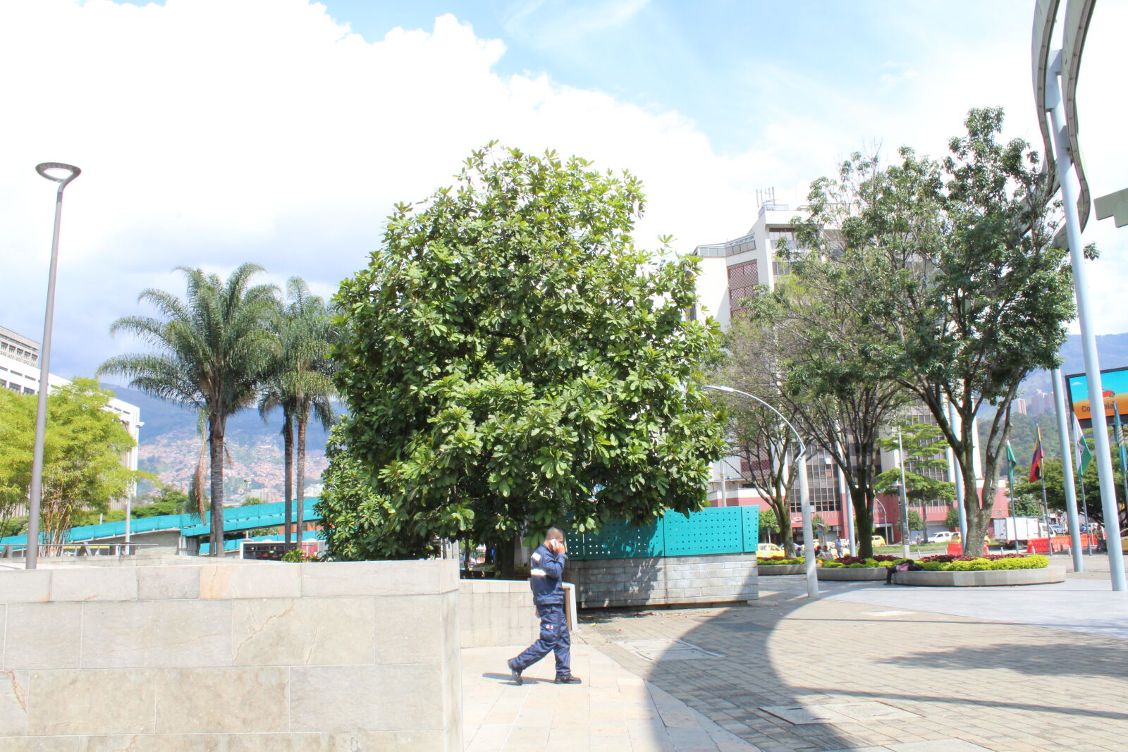 Canon EOS 1300D (EOS Rebel T6 / EOS Kiss X80) sample photo