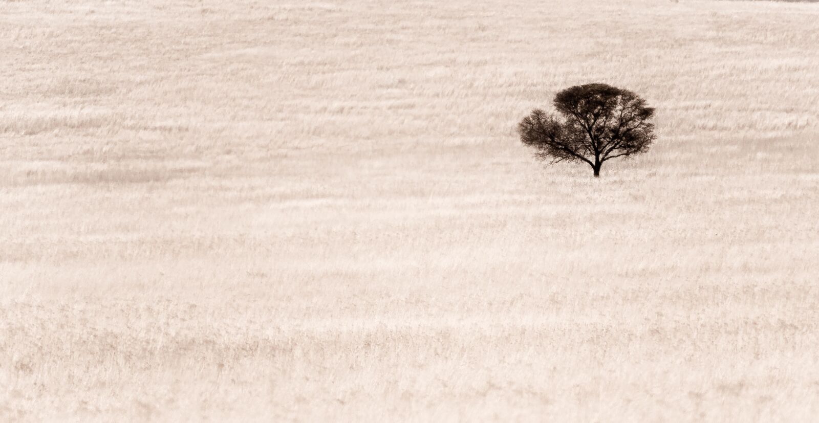 Nikon D750 sample photo. Abstract, desolate, alone photography