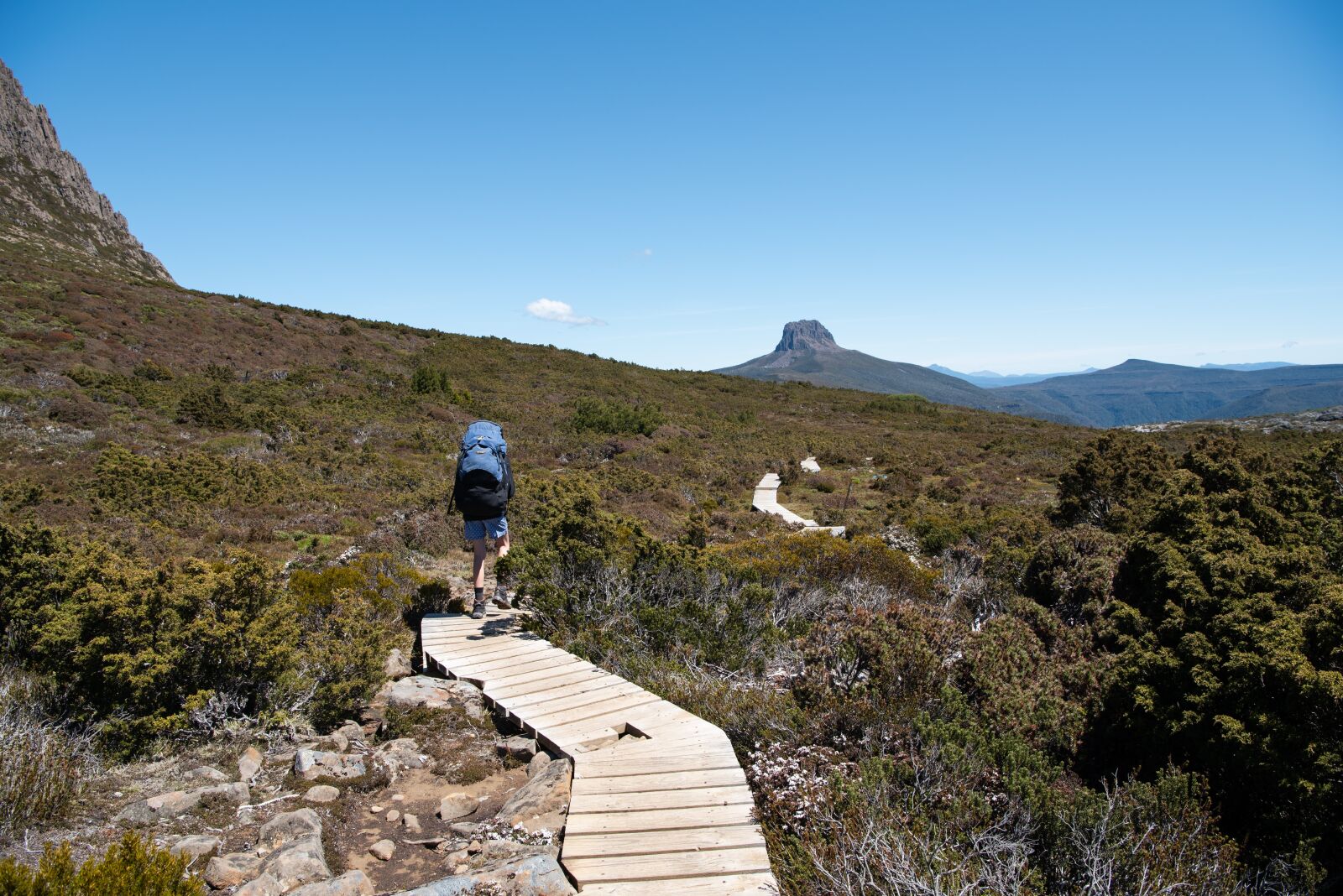 Nikon D750 sample photo. Overland track, tasmania, wilderness photography