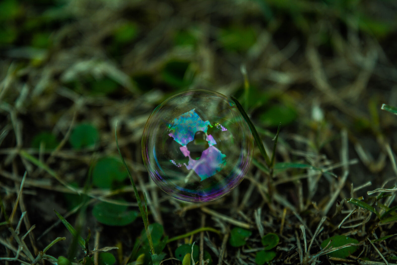 Nikon D5200 sample photo. Bubble, grass, macro, plant photography