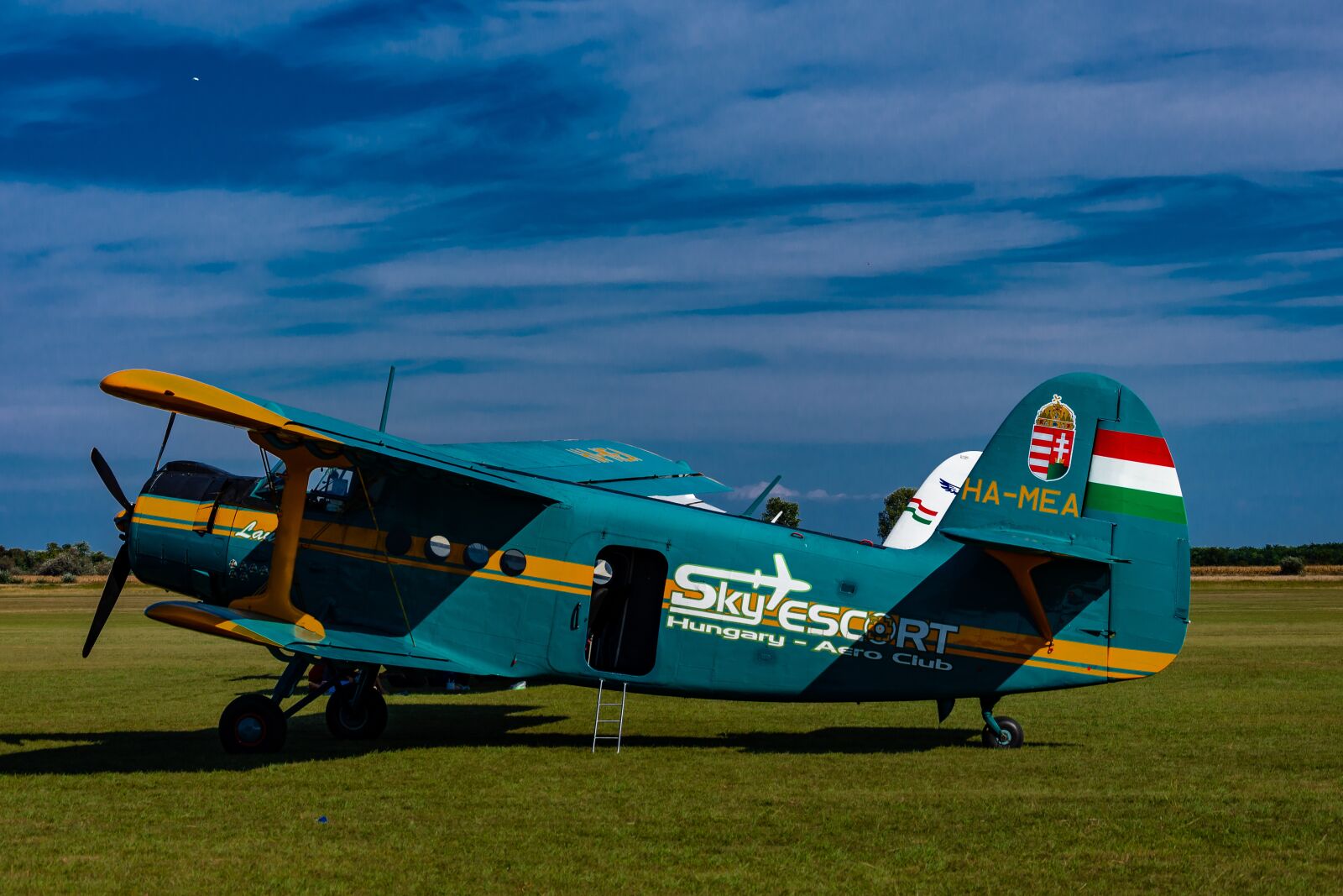Nikon D7200 sample photo. Flying, old, nostalgia photography