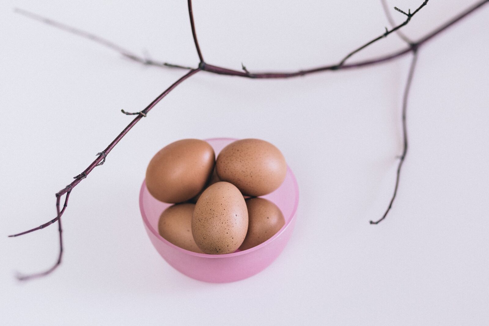 Canon EF 85mm F1.8 USM sample photo. Eggs, pink, container photography