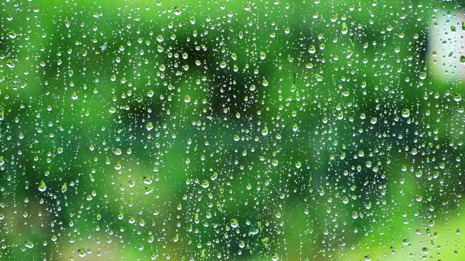 Panasonic DMC-G70 sample photo. Water, rain, raindrop photography