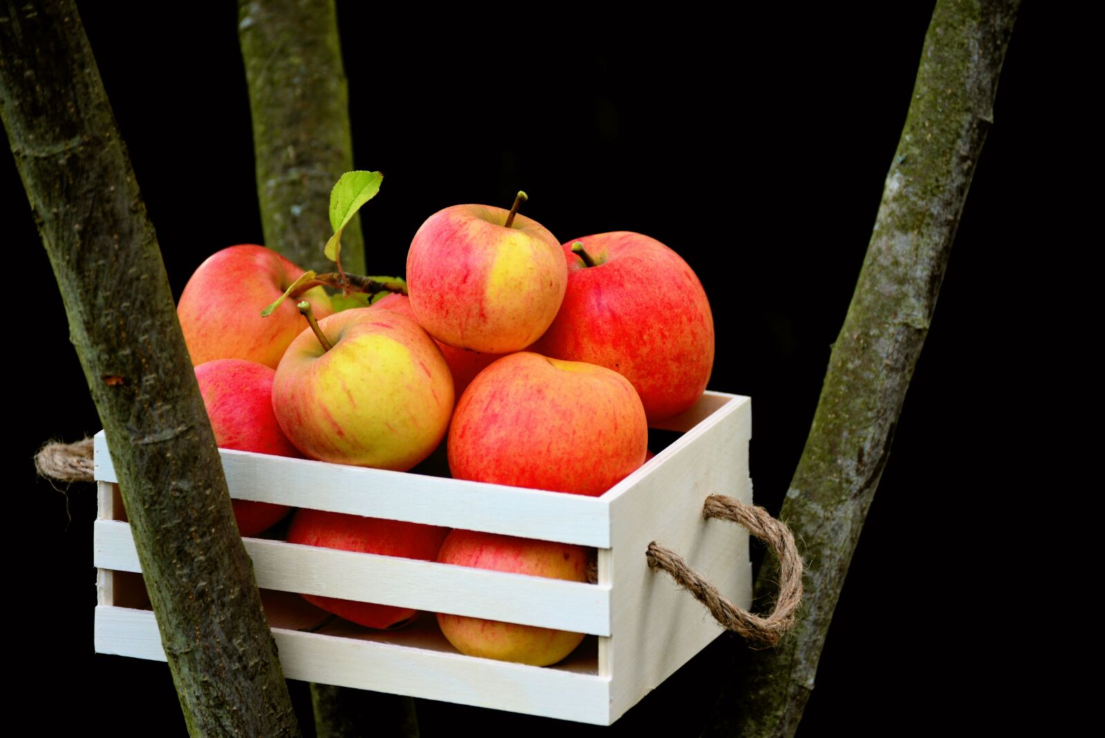 Nikon D610 sample photo. Apple, goldparmäne, box photography