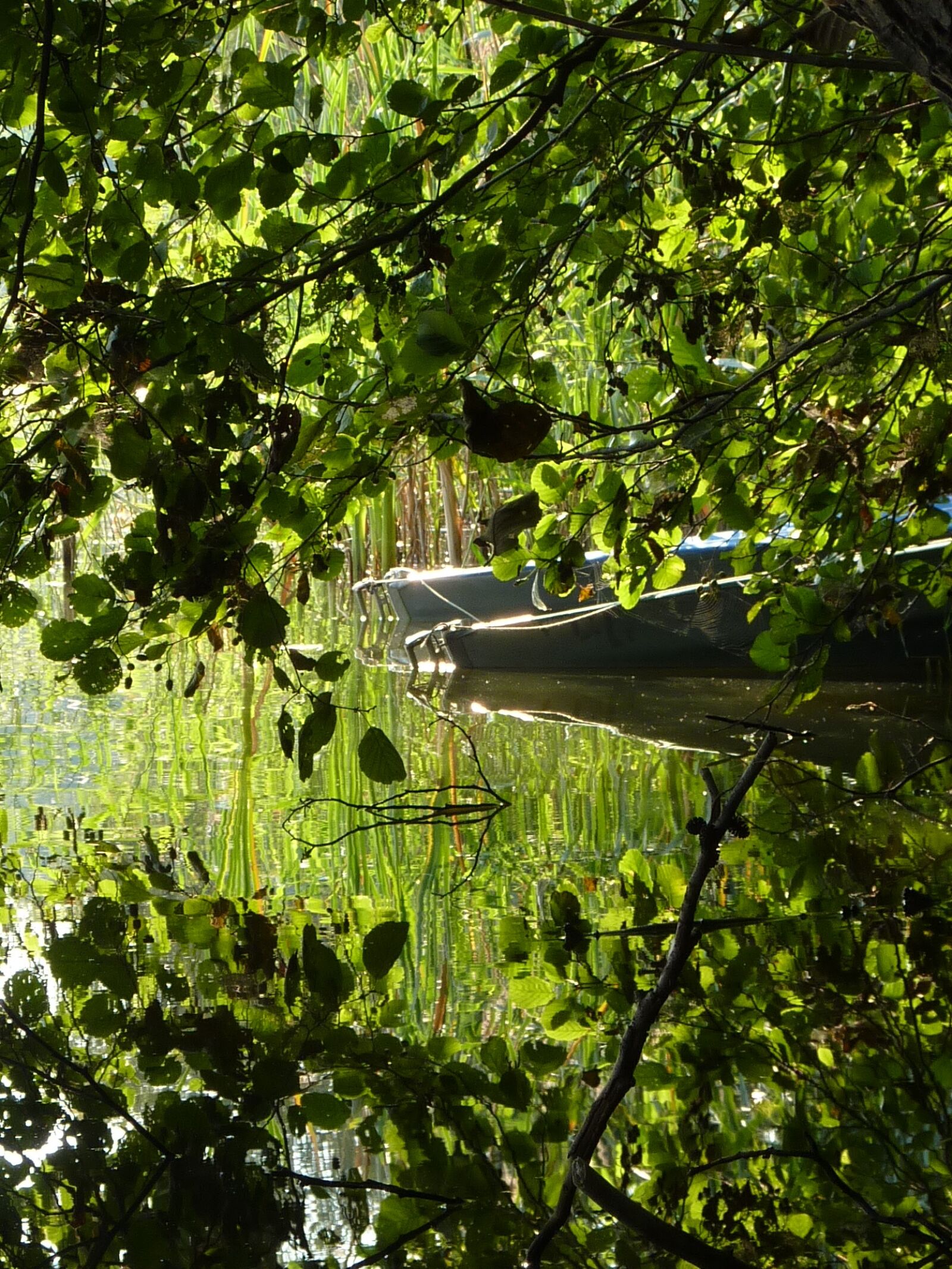 Panasonic DMC-TZ7 sample photo. Lake, brandenburg, w photography