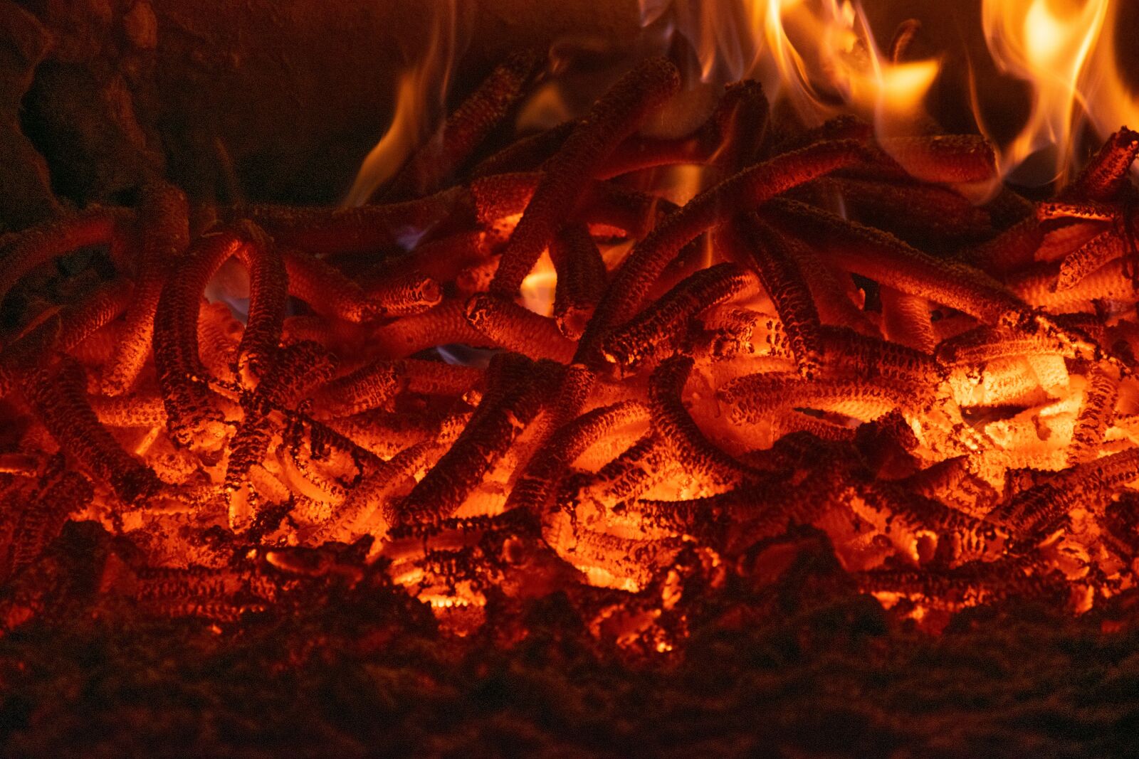 Nikon D3300 sample photo. Fire, furnace, flame photography