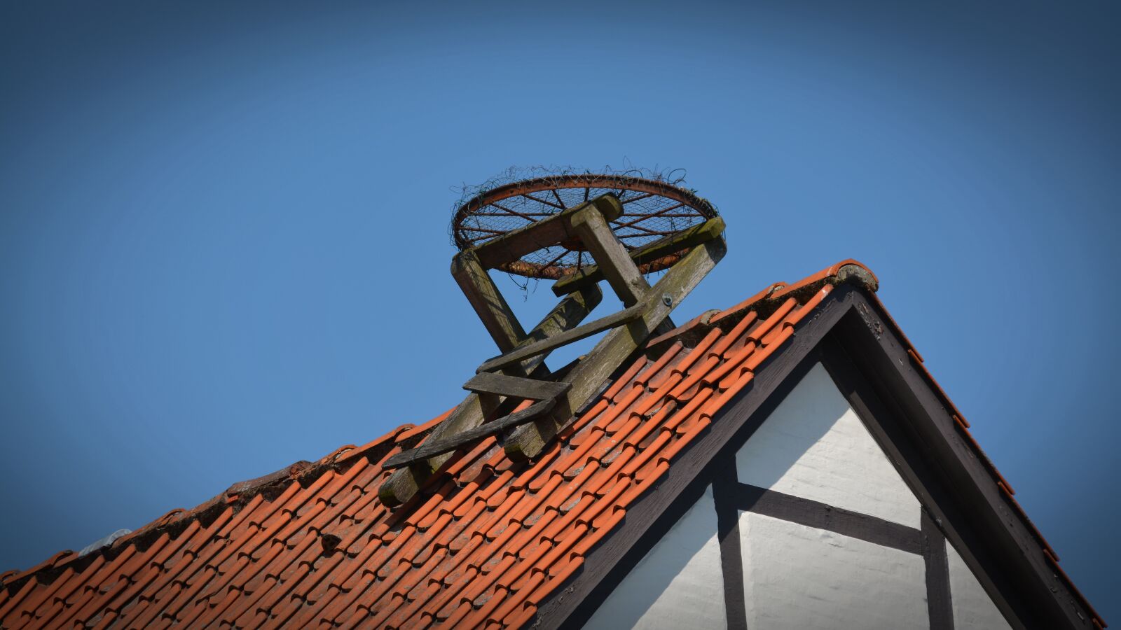 Nikon D5200 sample photo. Storchennest, stork, resting place photography