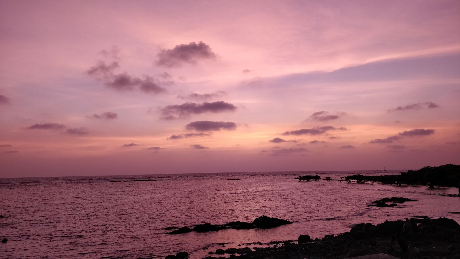 OnePlus 5 sample photo. Nature, landscape, water photography